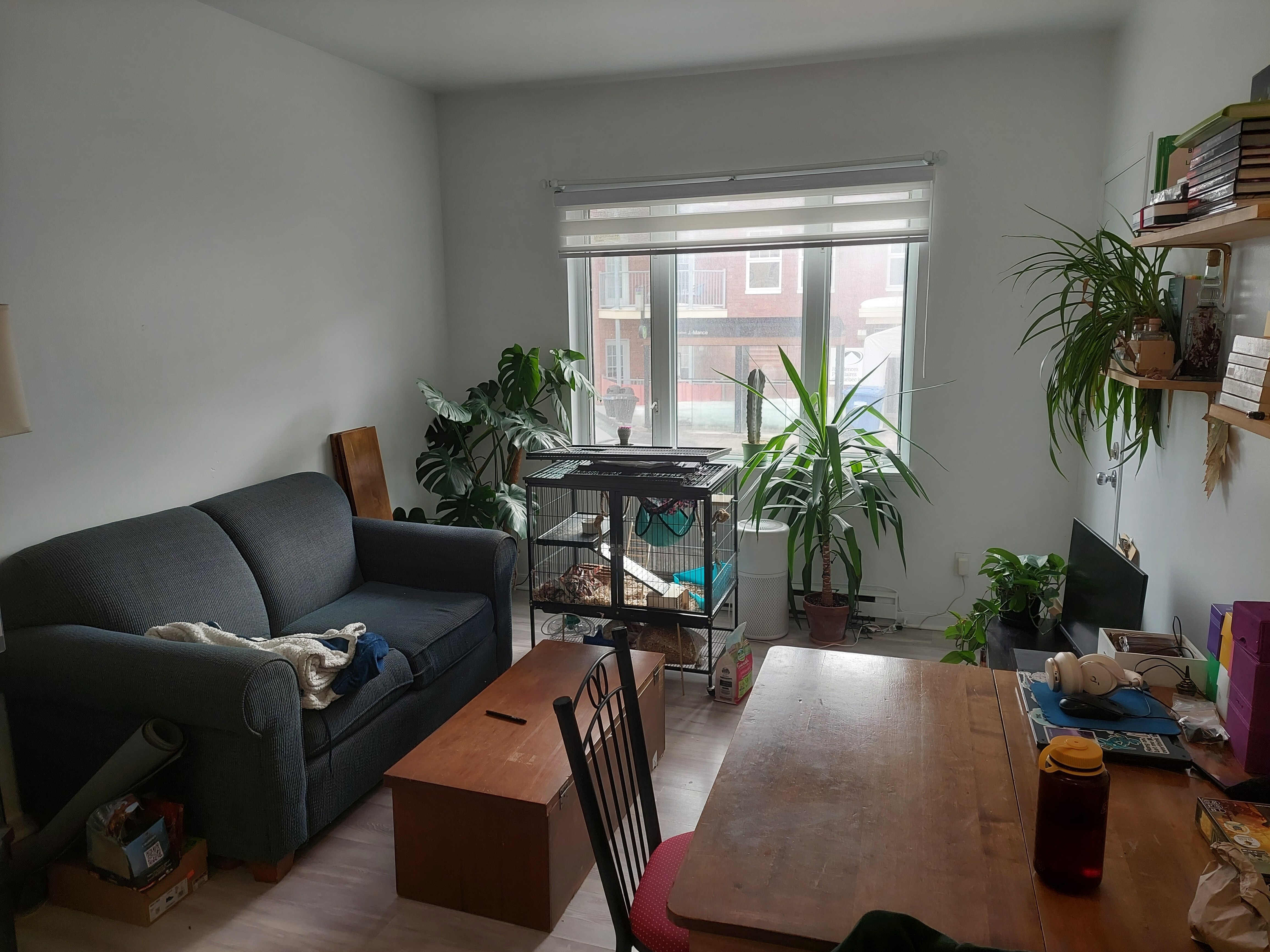 Logis-Experts - Appartements - 118-132 Avenue Eugene-Lamontagne - 120 avenue Eugene-Lamontagne - Image principale