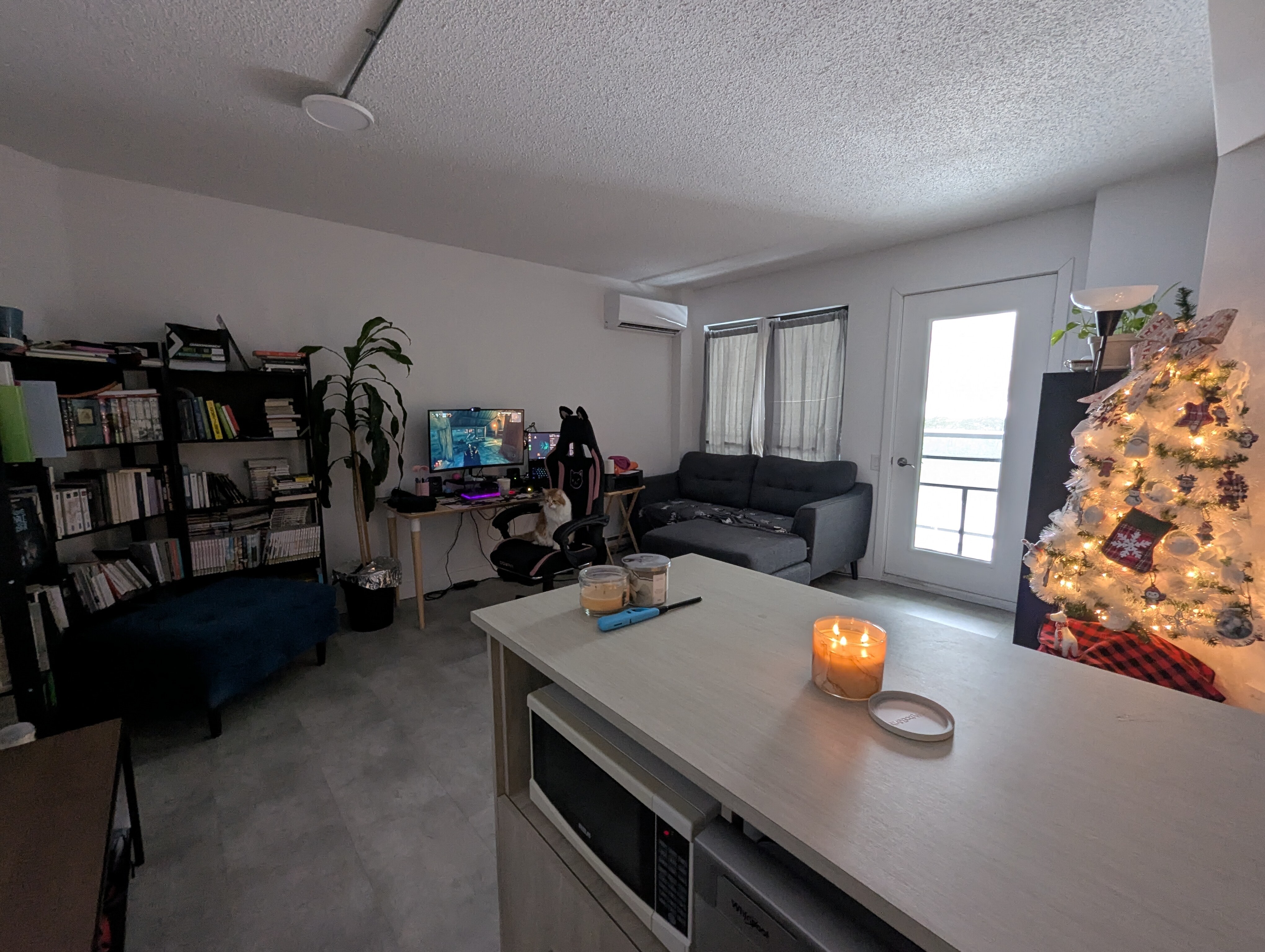 Logis-Experts - Appartements - 361 Rue Gingras - Le Mojo - 237 - 7