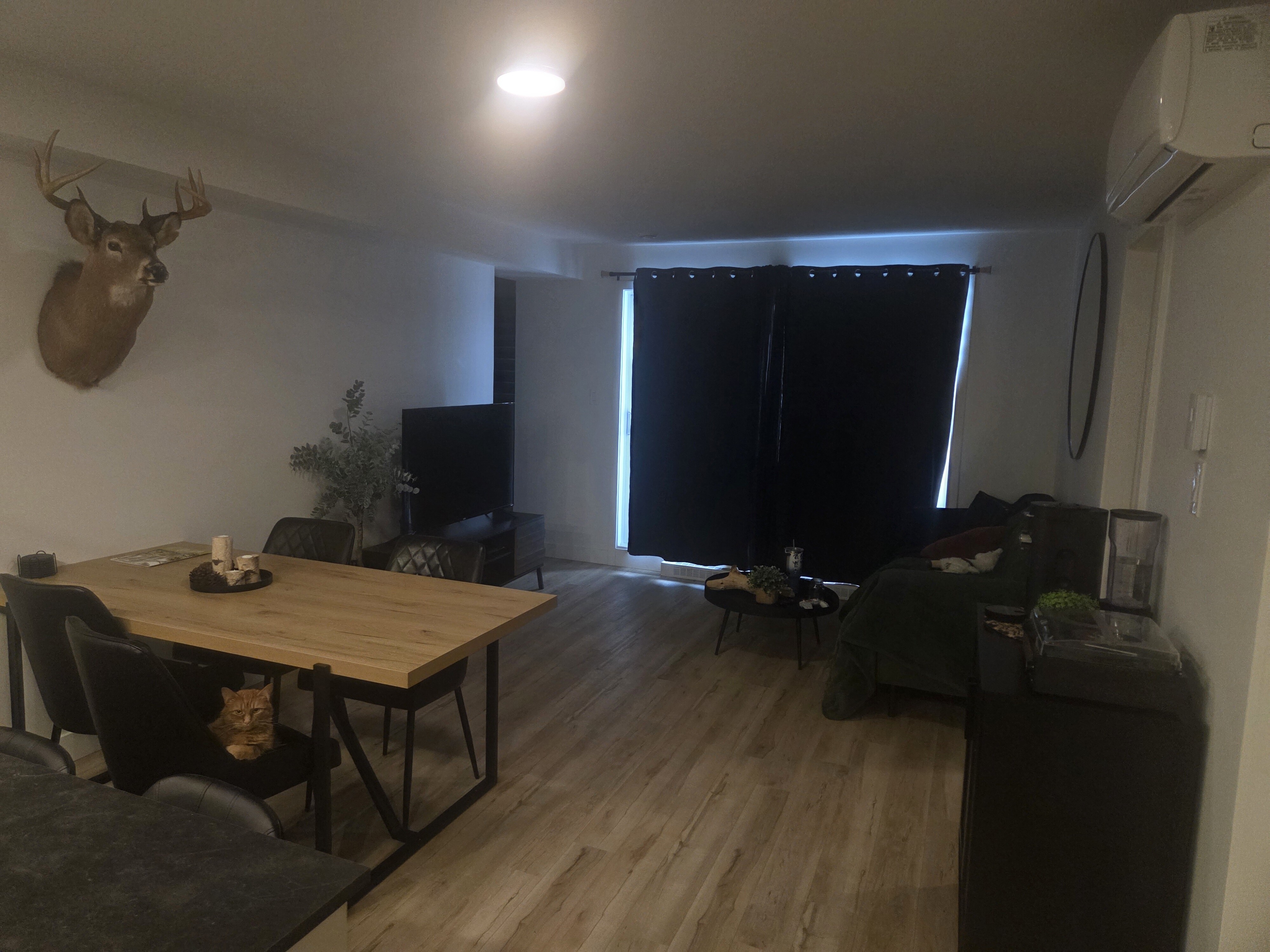 Logis-Experts - Appartements - 1030 À 1032 Boulevard Pie-Xi Nord - Le Dix10 - 305 - 4