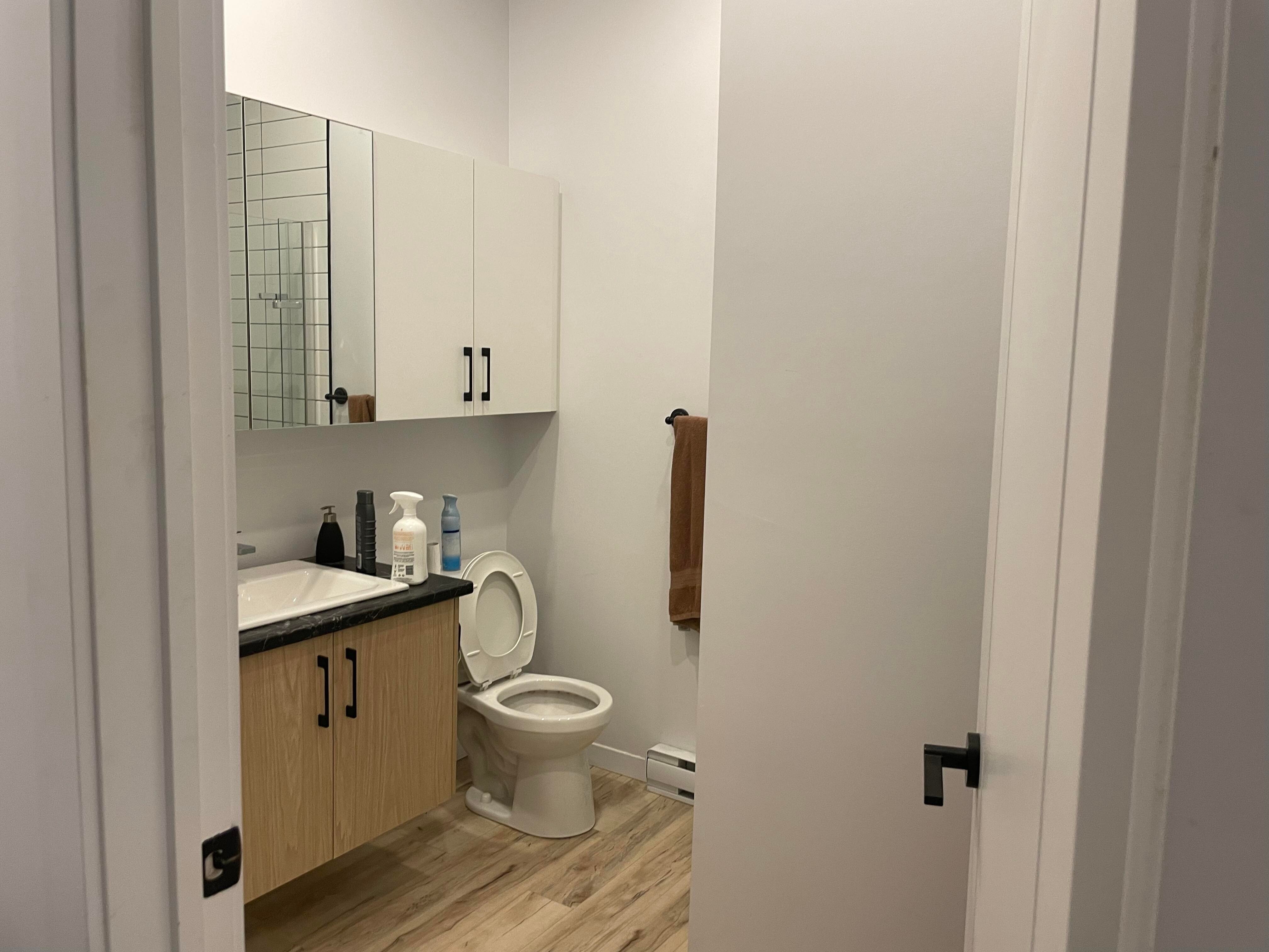 Logis-Experts - Appartements - 990 1Re Avenue 110 10E Rue - Le Versa - 305 - 6