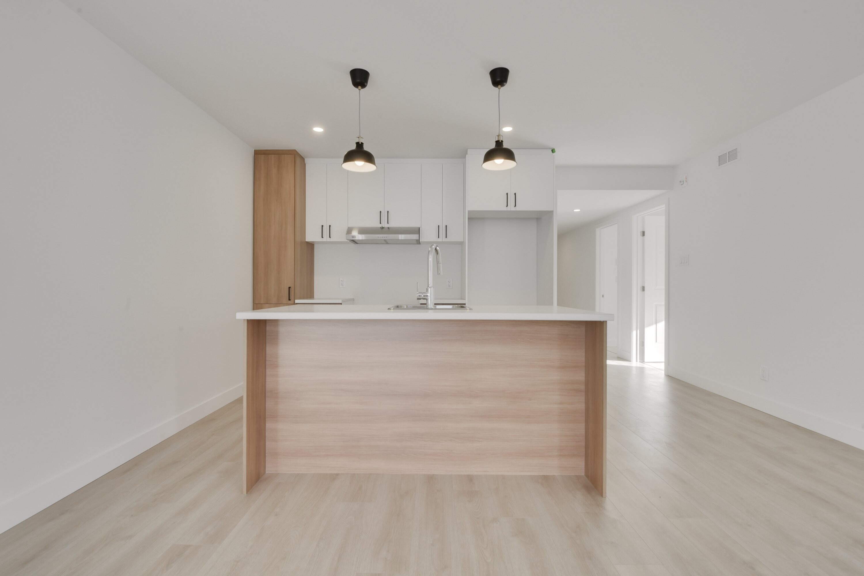 Logis-Experts - Appartements - 1251 Boulevard Pie-Xi Nord - 201 - 6