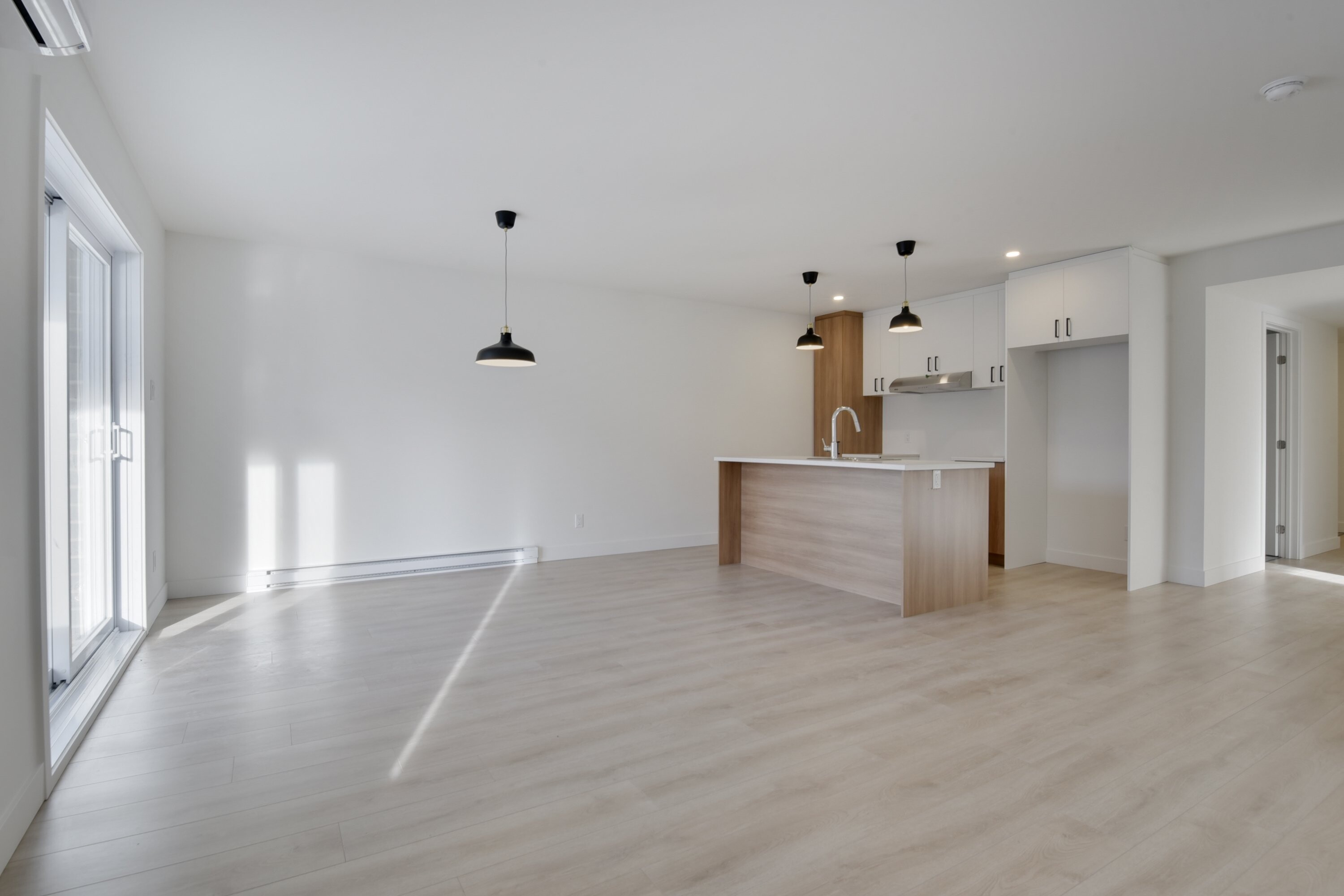 Logis-Experts - Appartements - 1251 Boulevard Pie-Xi Nord - 203 - 3