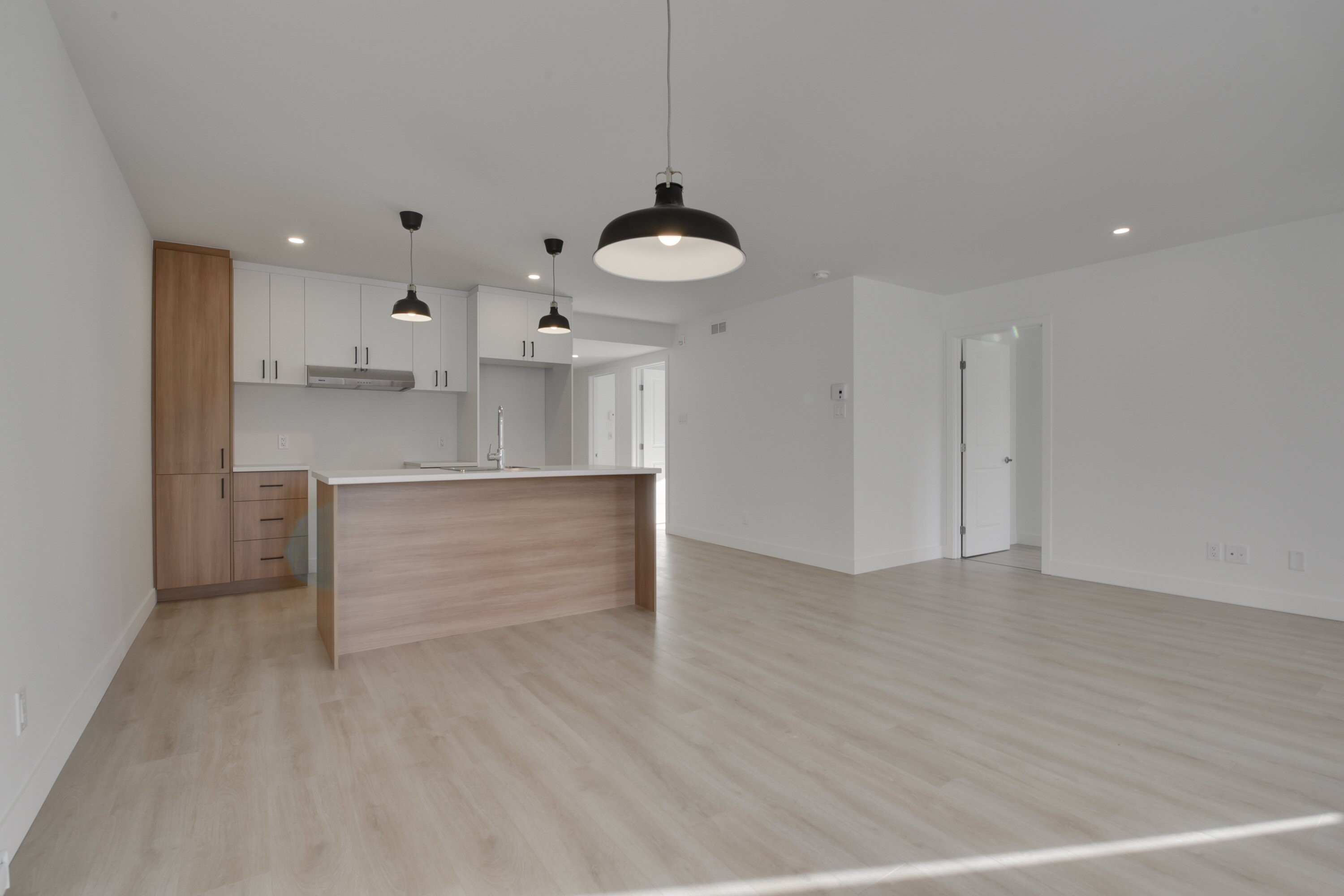 Logis-Experts - Appartements - 1247 Boulevard Pie-Xi Nord - 203 - 4