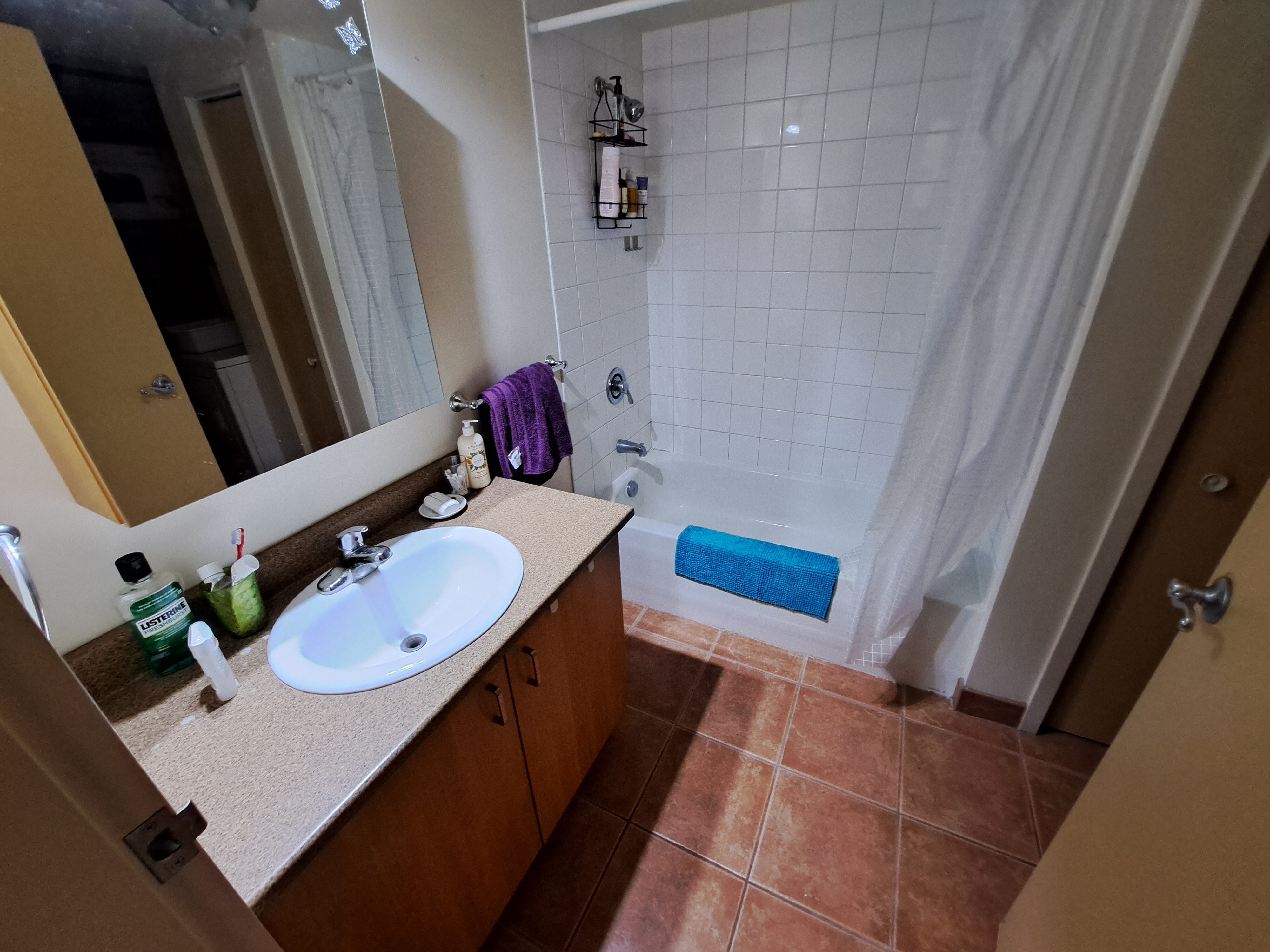 Logis-Experts - Appartements - 1322 Rue Châteaubriand - Place Du Chateau - 301 - 5