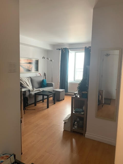 Logis-Experts - Appartements - 1322 Rue Châteaubriand - Place Du Chateau - 408 - 7