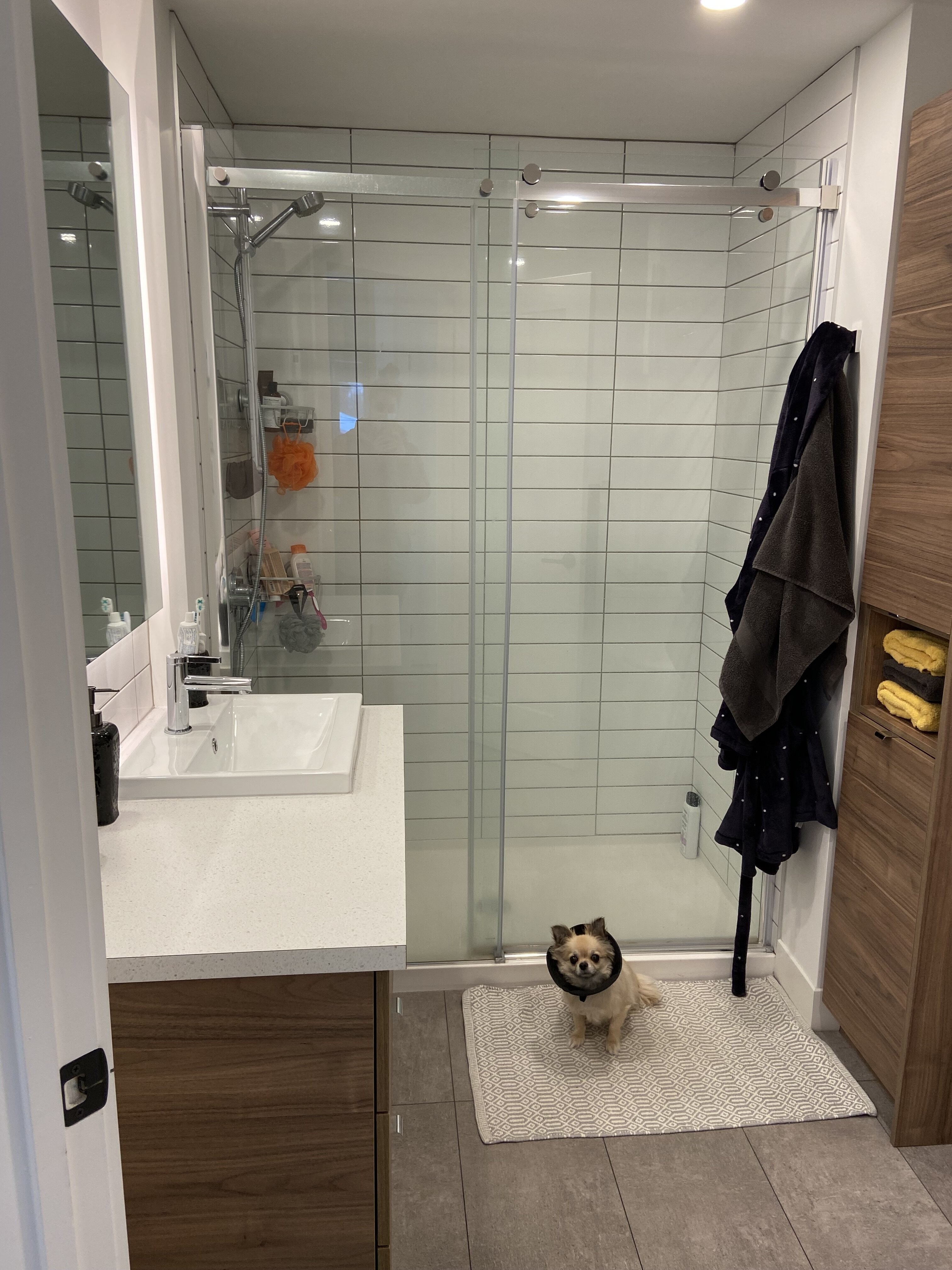 Logis-Experts - Appartements - 1440 Rue Esther-Blondin - Le Galiléo - 412 - 6