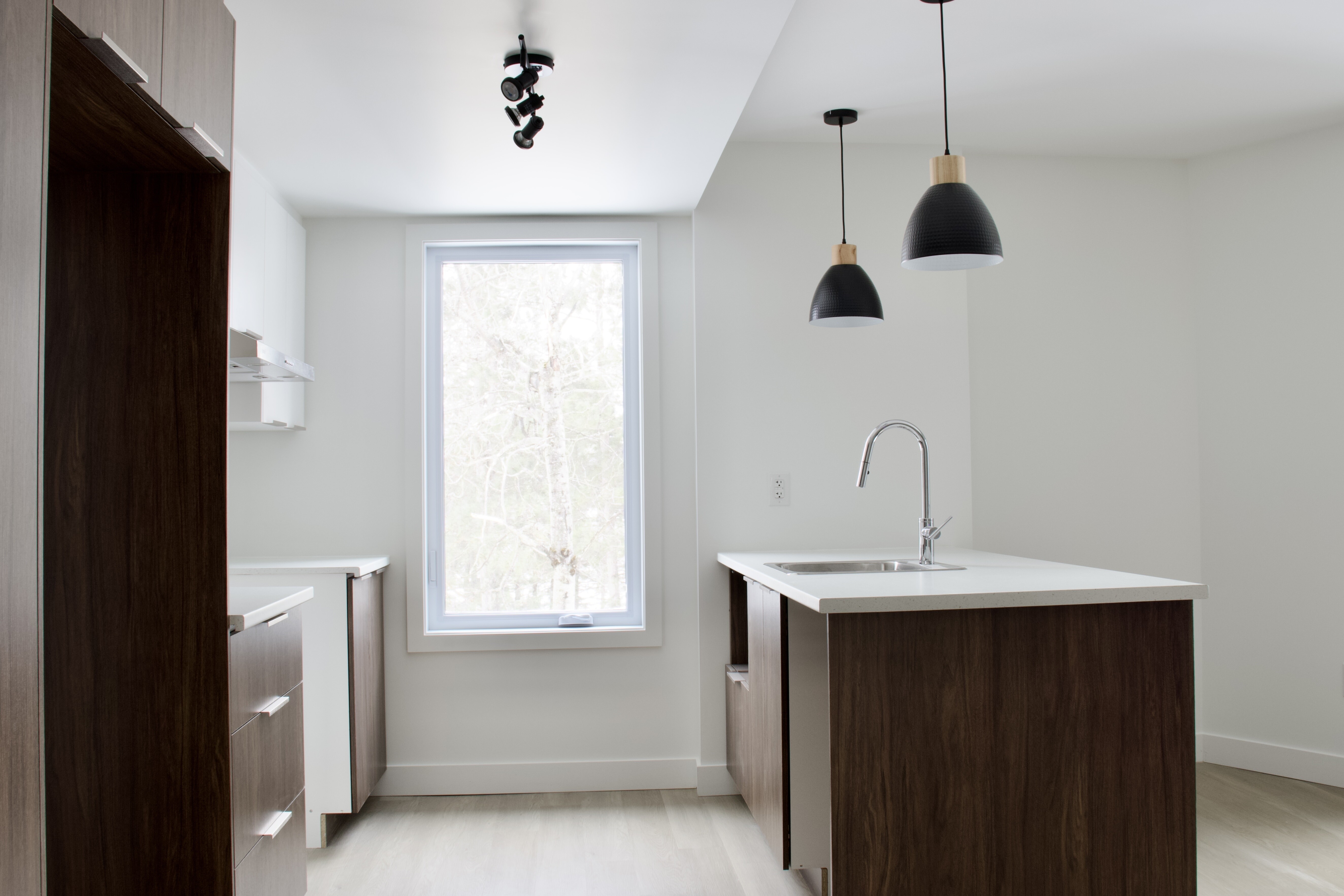 Logis-Experts - Appartements - 1750 Boulevard Pie-Xi Nord - 202 - 3