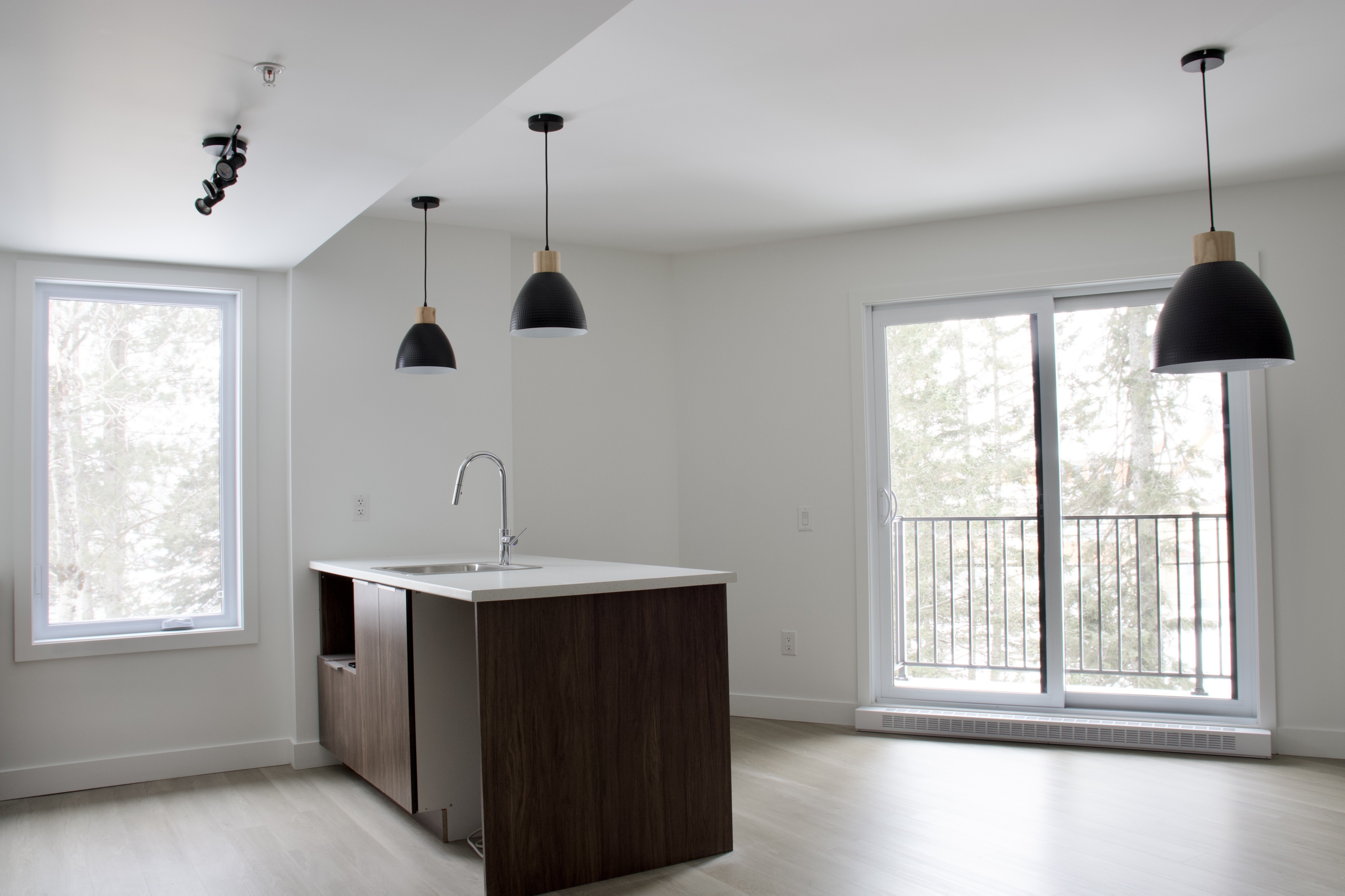 Logis-Experts - Appartements - 1750 Boulevard Pie-Xi Nord - 202 - 4