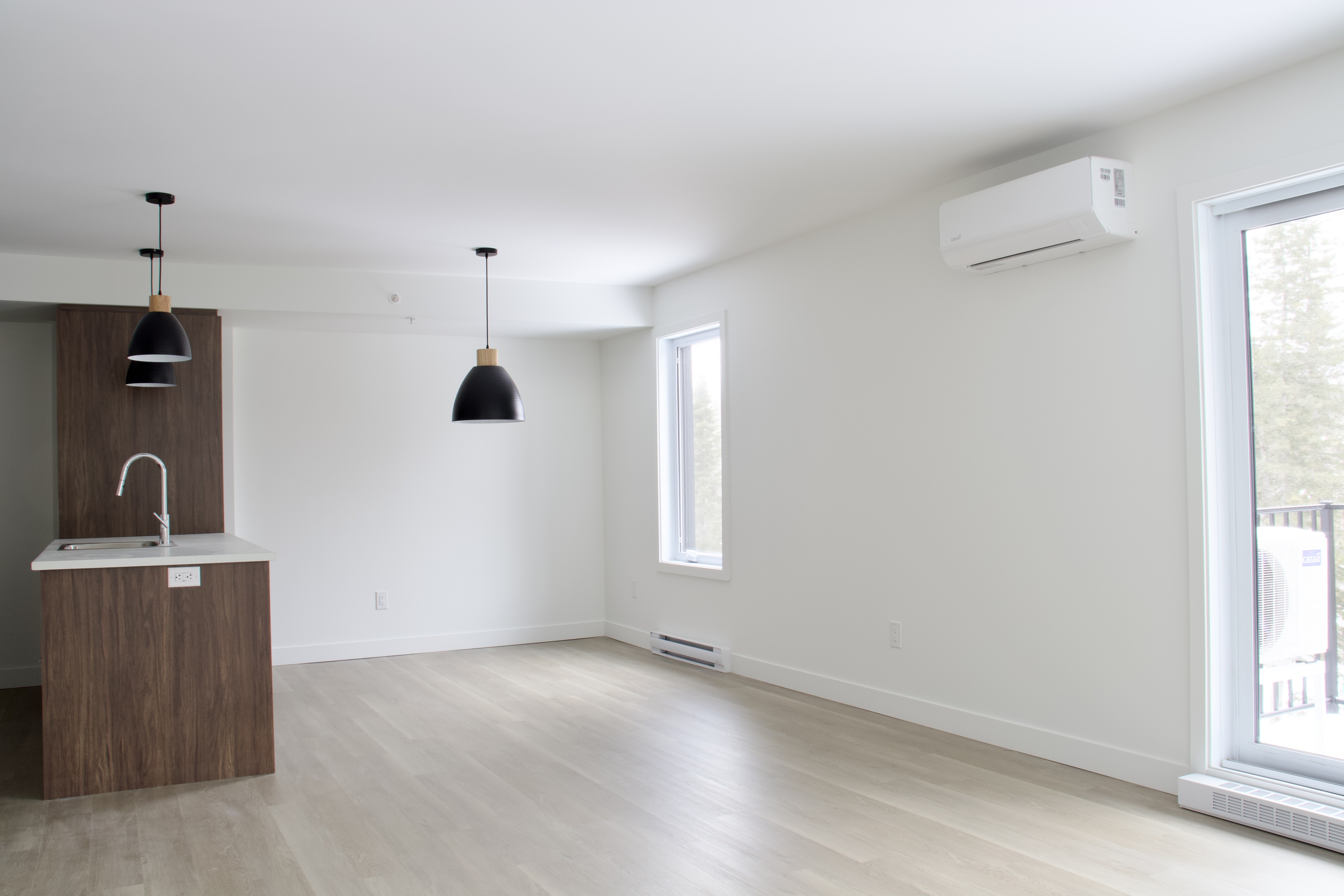 Logis-Experts - Appartements - 1750 Boulevard Pie-Xi Nord - 212 - 3
