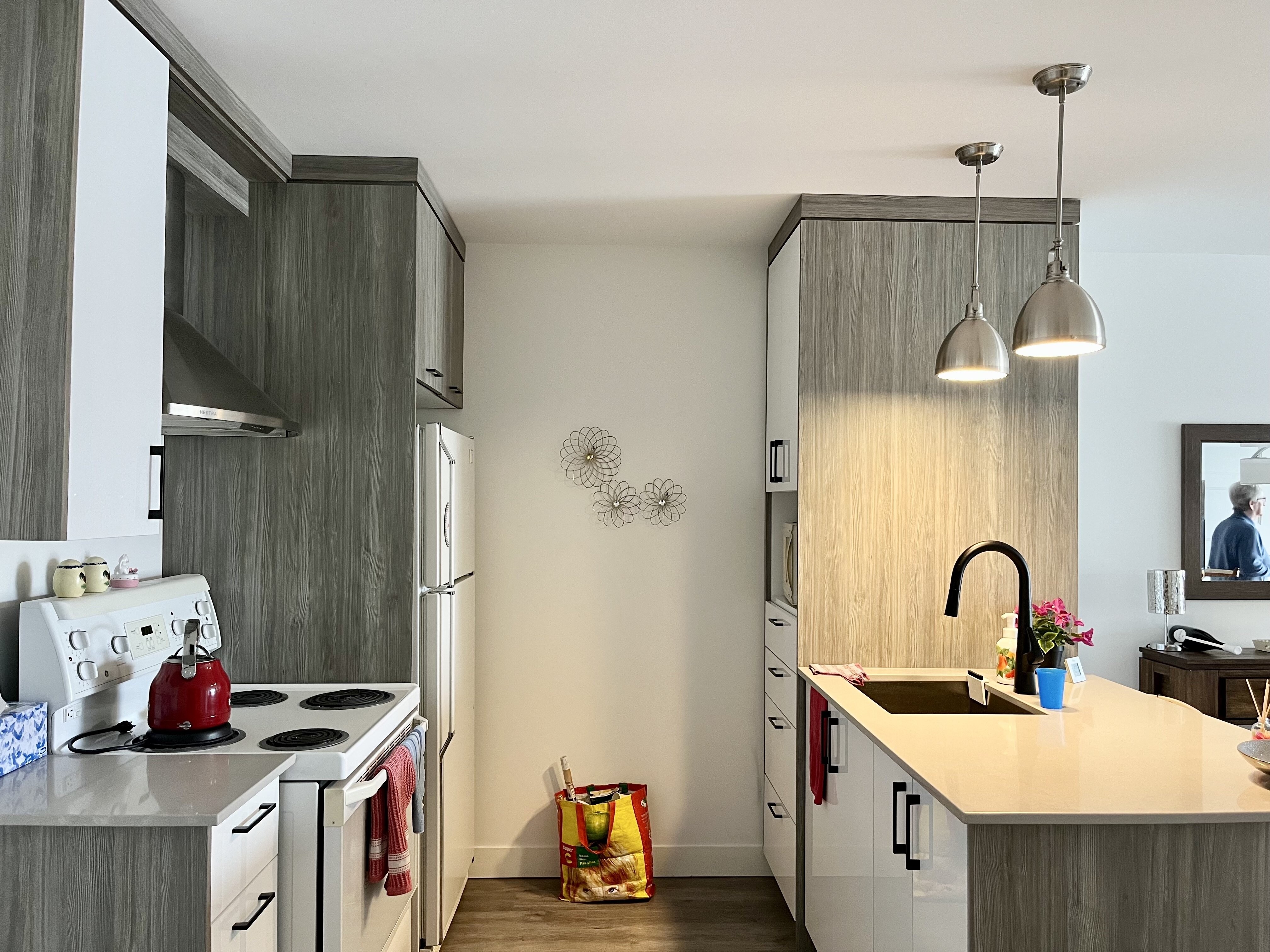 Logis-Experts - Appartements - 1905 Rue Notre-Dame - 203 - 1