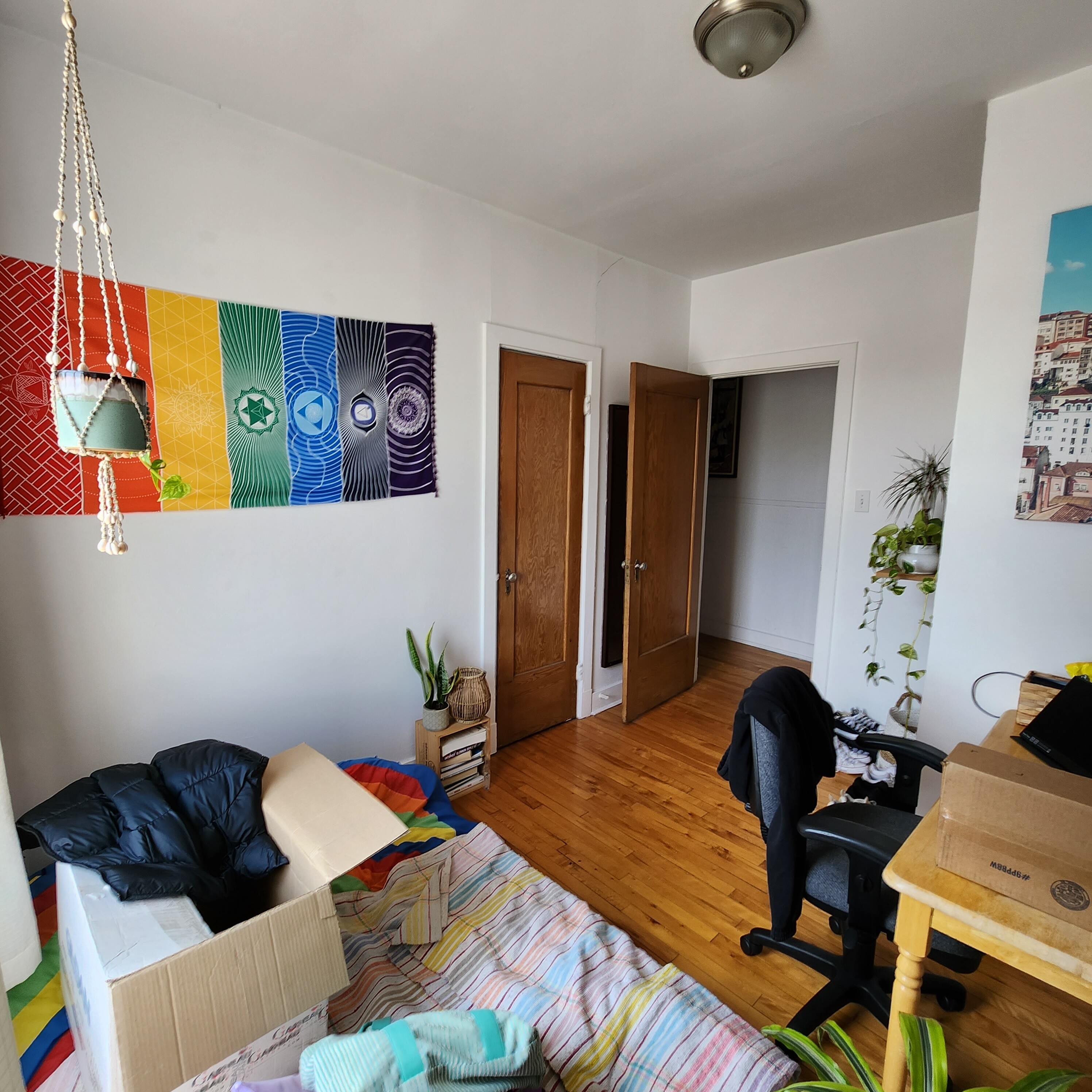 Logis-Experts - Appartements - 1915 Avenue D'assise - 4 - 5