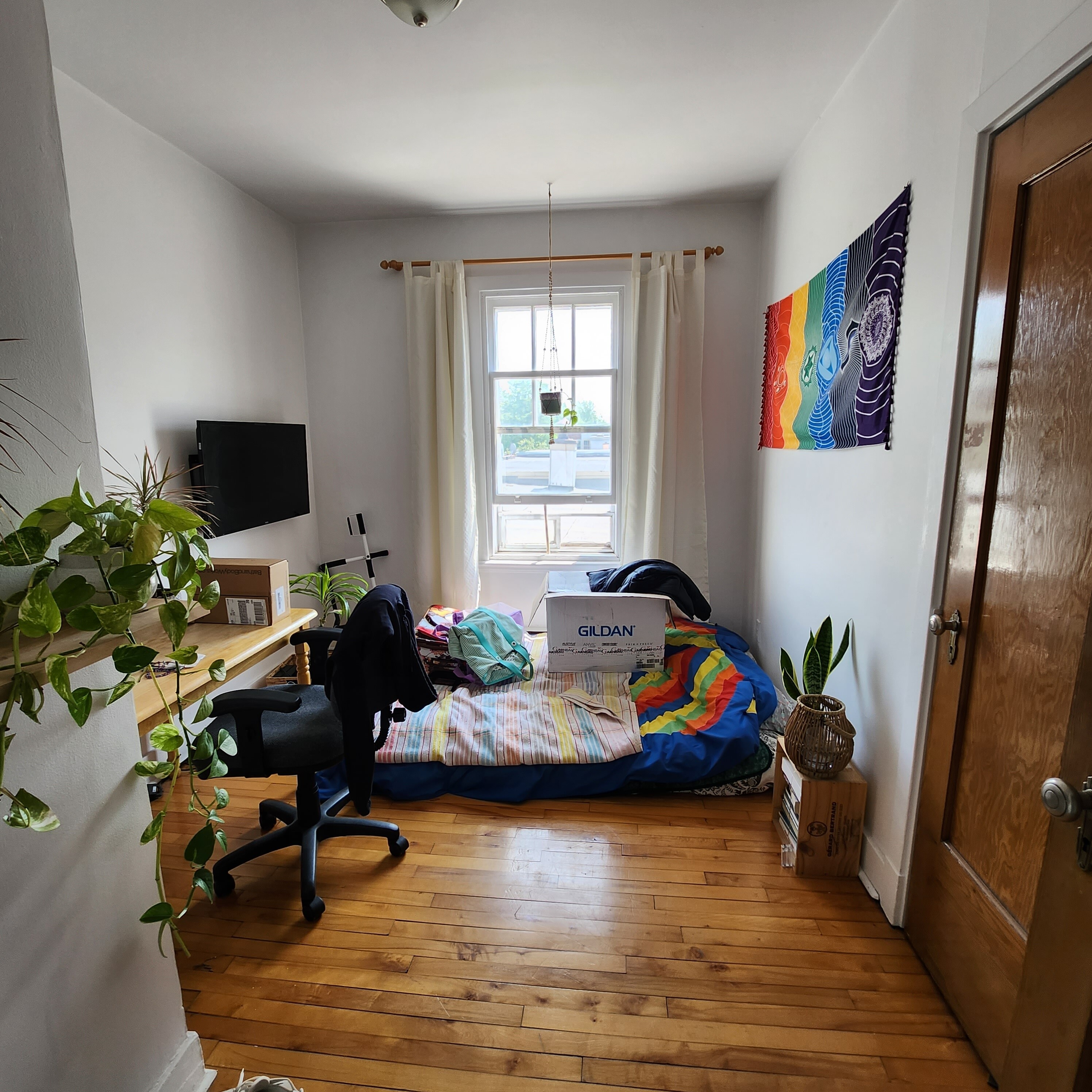 Logis-Experts - Appartements - 1915 Avenue D'assise - 4 - 7