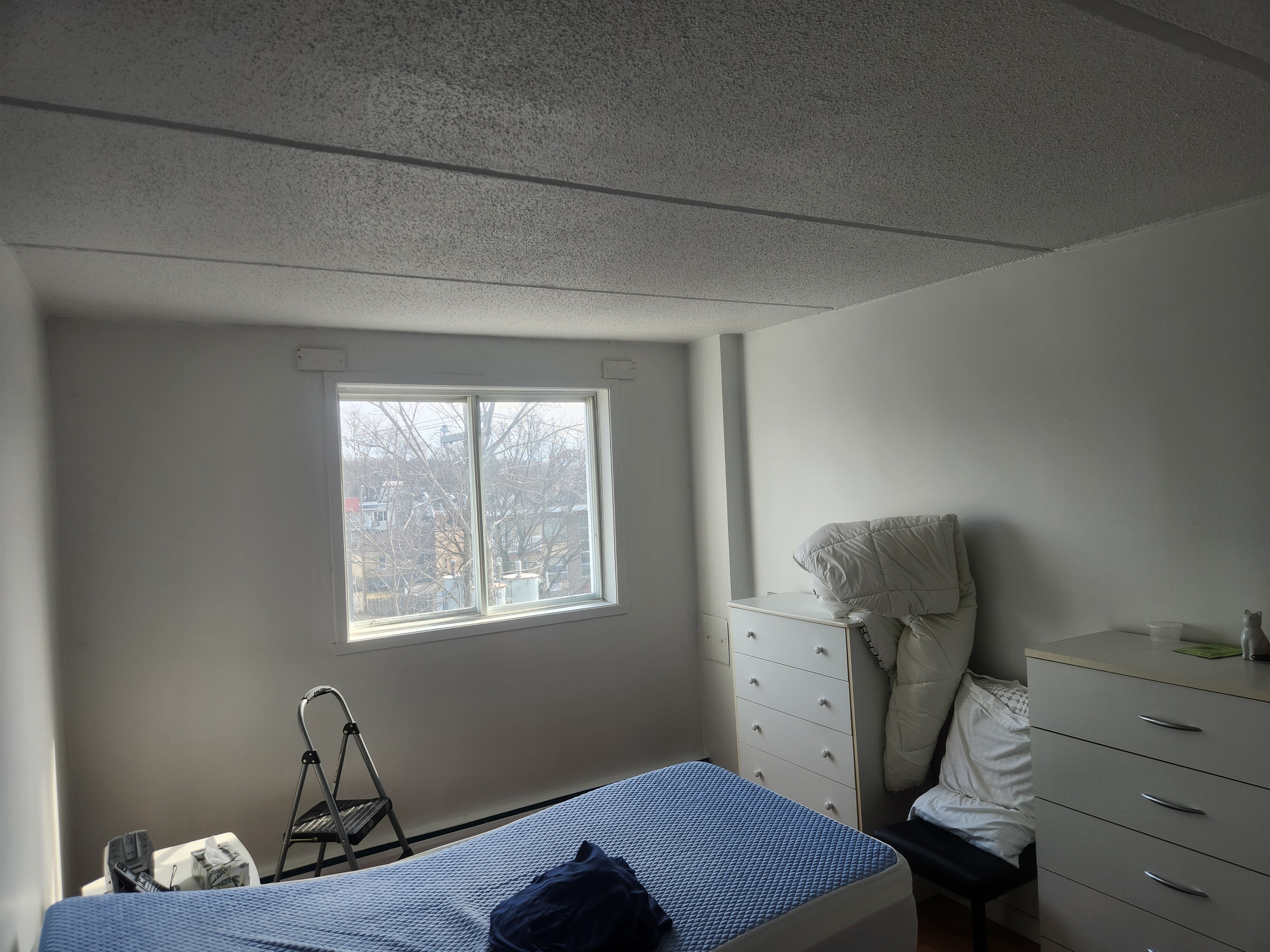 Logis-Experts - Appartements - 2475 Rue Évangéline - Espaces Lavida - 407 - 2