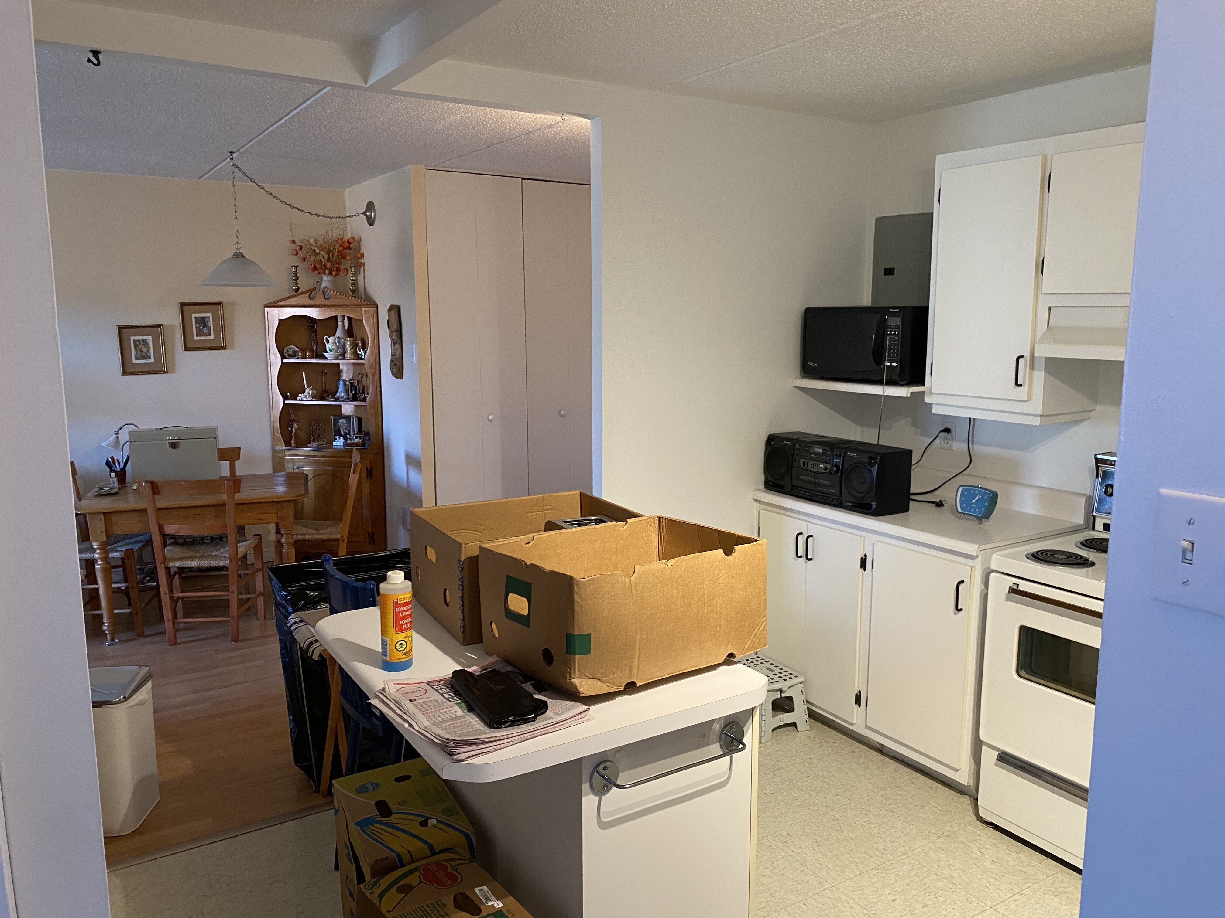 Logis-Experts - Appartements - 2465 Rue Évangéline - Espaces Lavida - 305 - 3