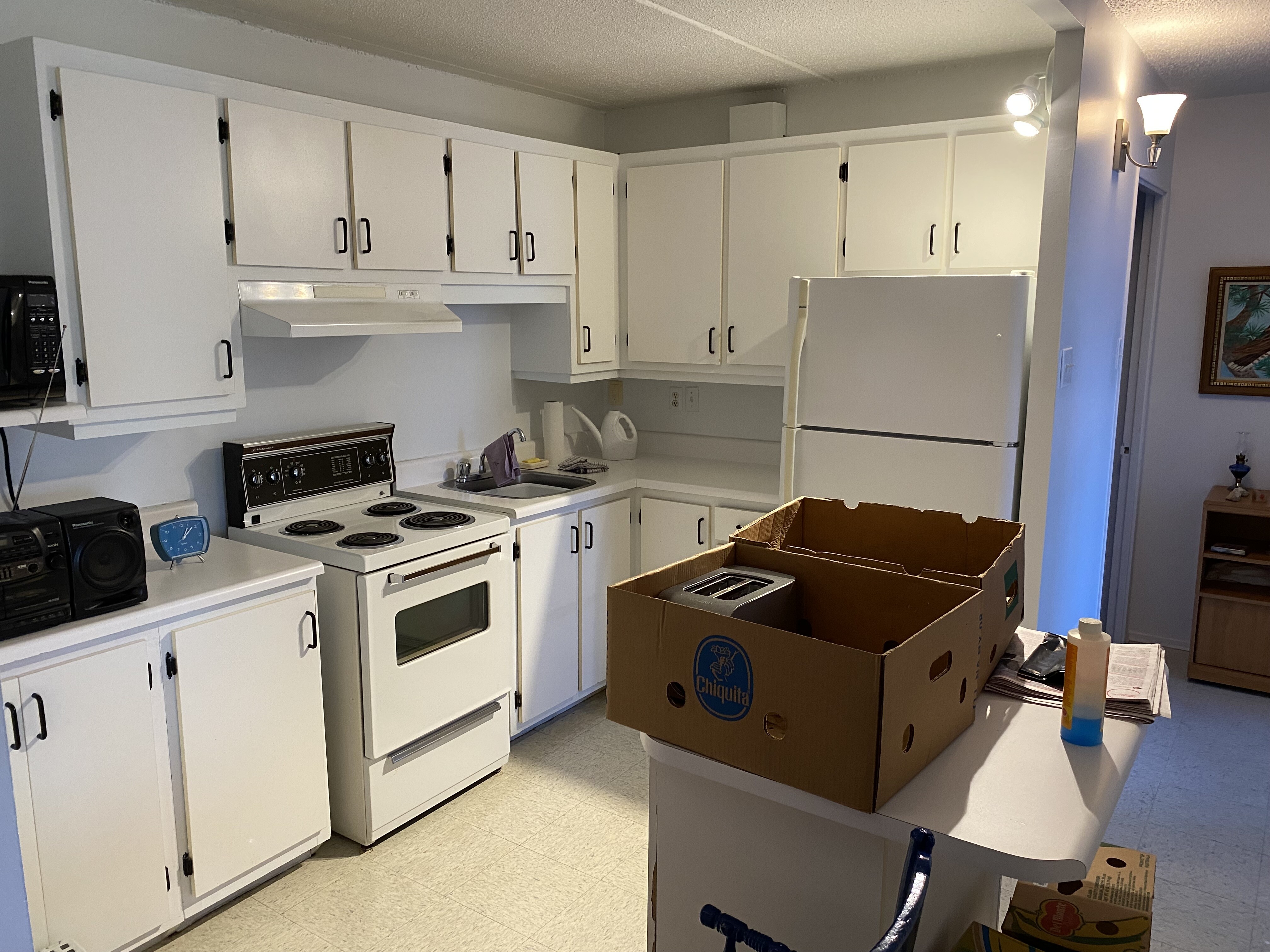 Logis-Experts - Appartements - 2465 Rue Évangéline - Espaces Lavida - 305 - 6