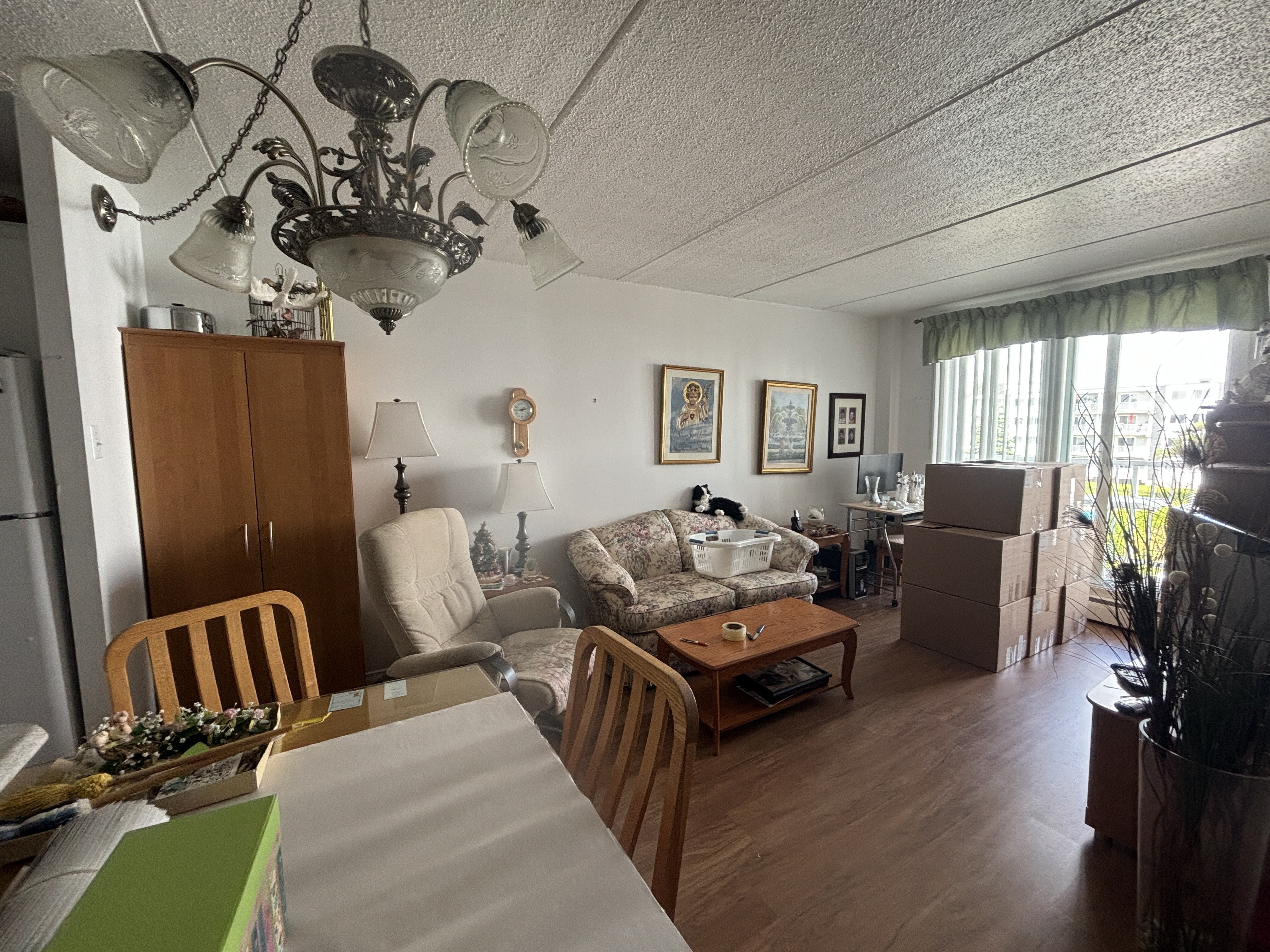 Logis-Experts - Appartements - 2455 Rue Évangéline - Espaces Lavida - 301 - 4