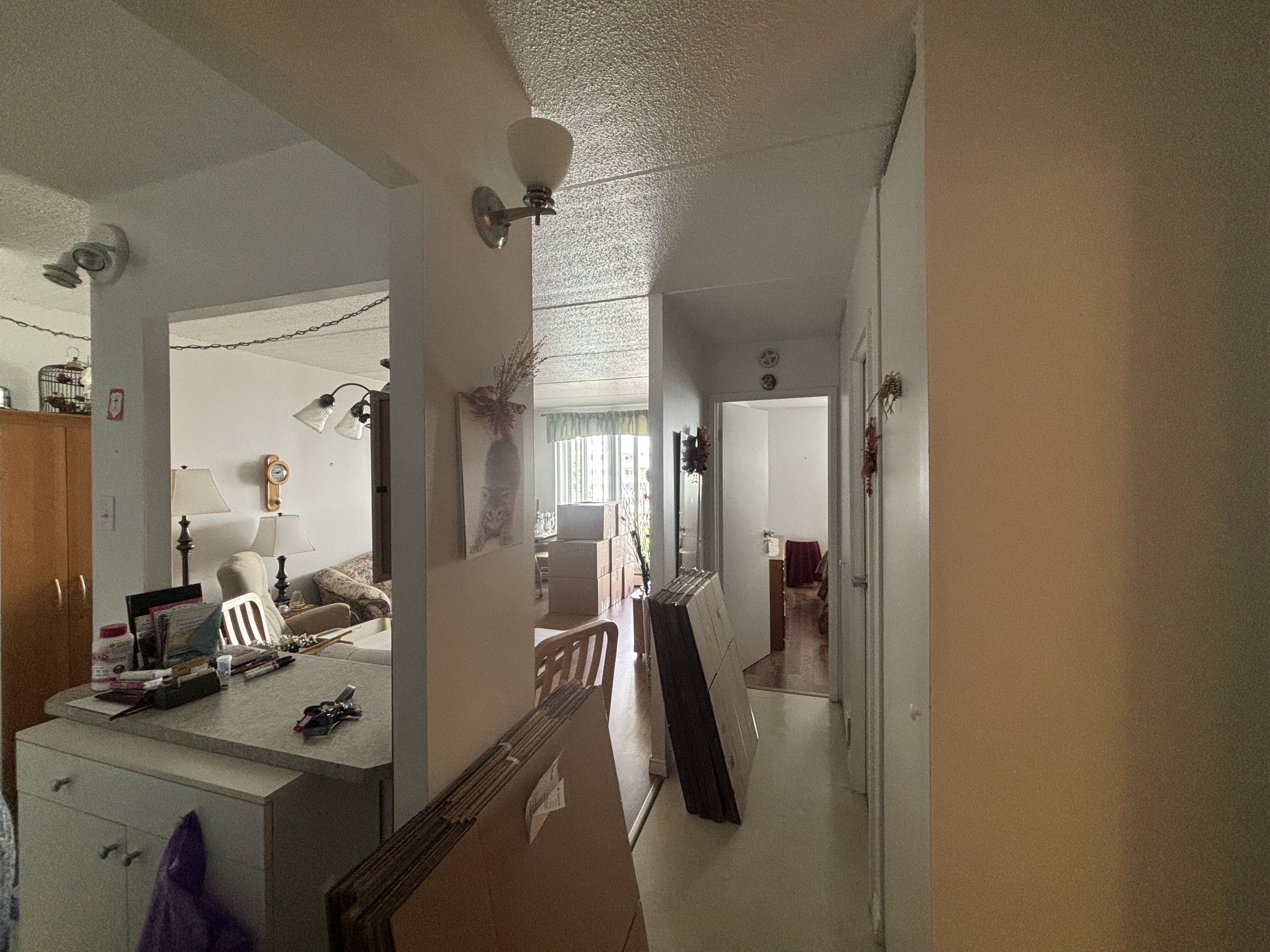 Logis-Experts - Appartements - 2455 Rue Évangéline - Espaces Lavida - 301 - 6