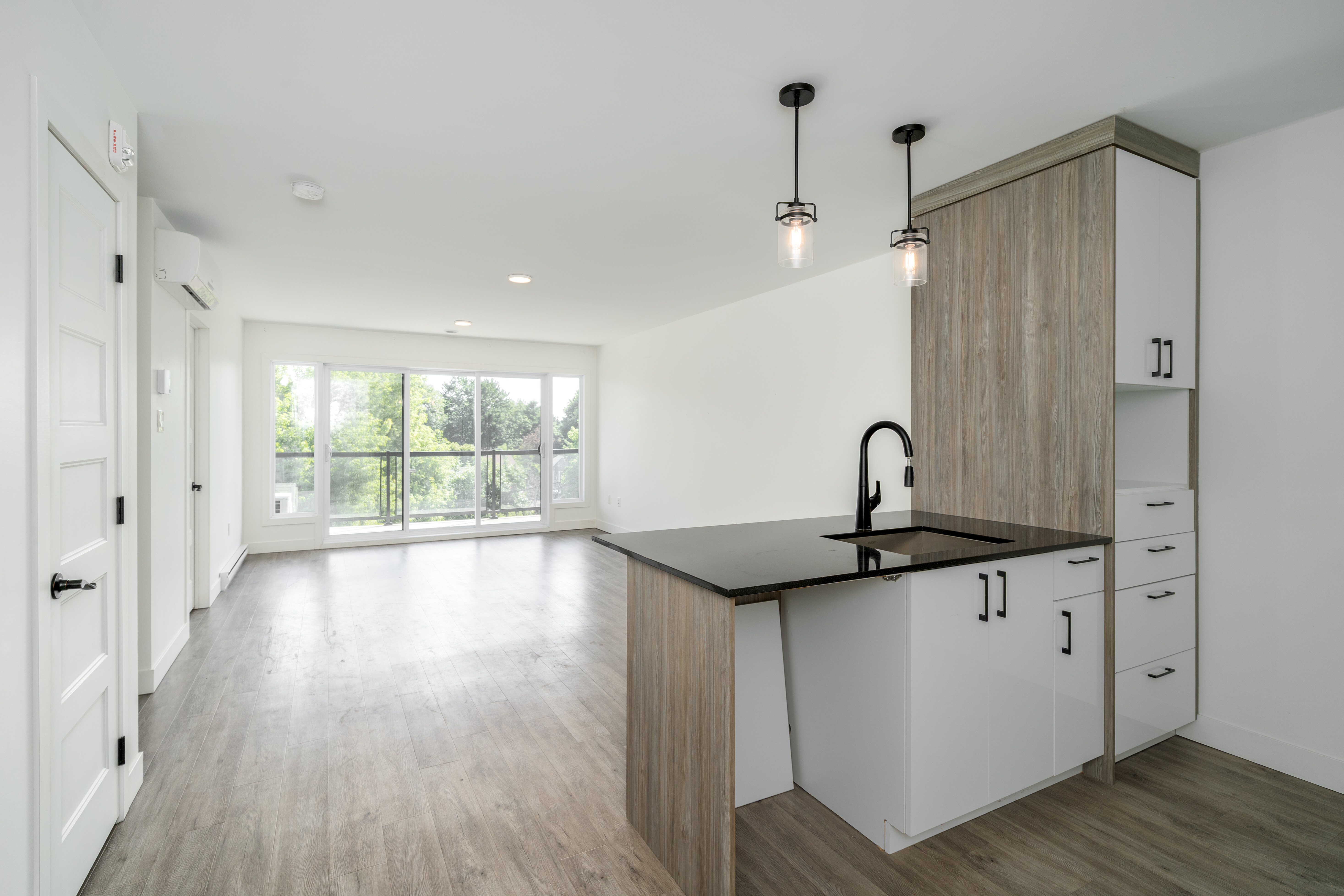 Logis-Experts - Appartements - 9059 Rue De L'attisée - 102 - 1