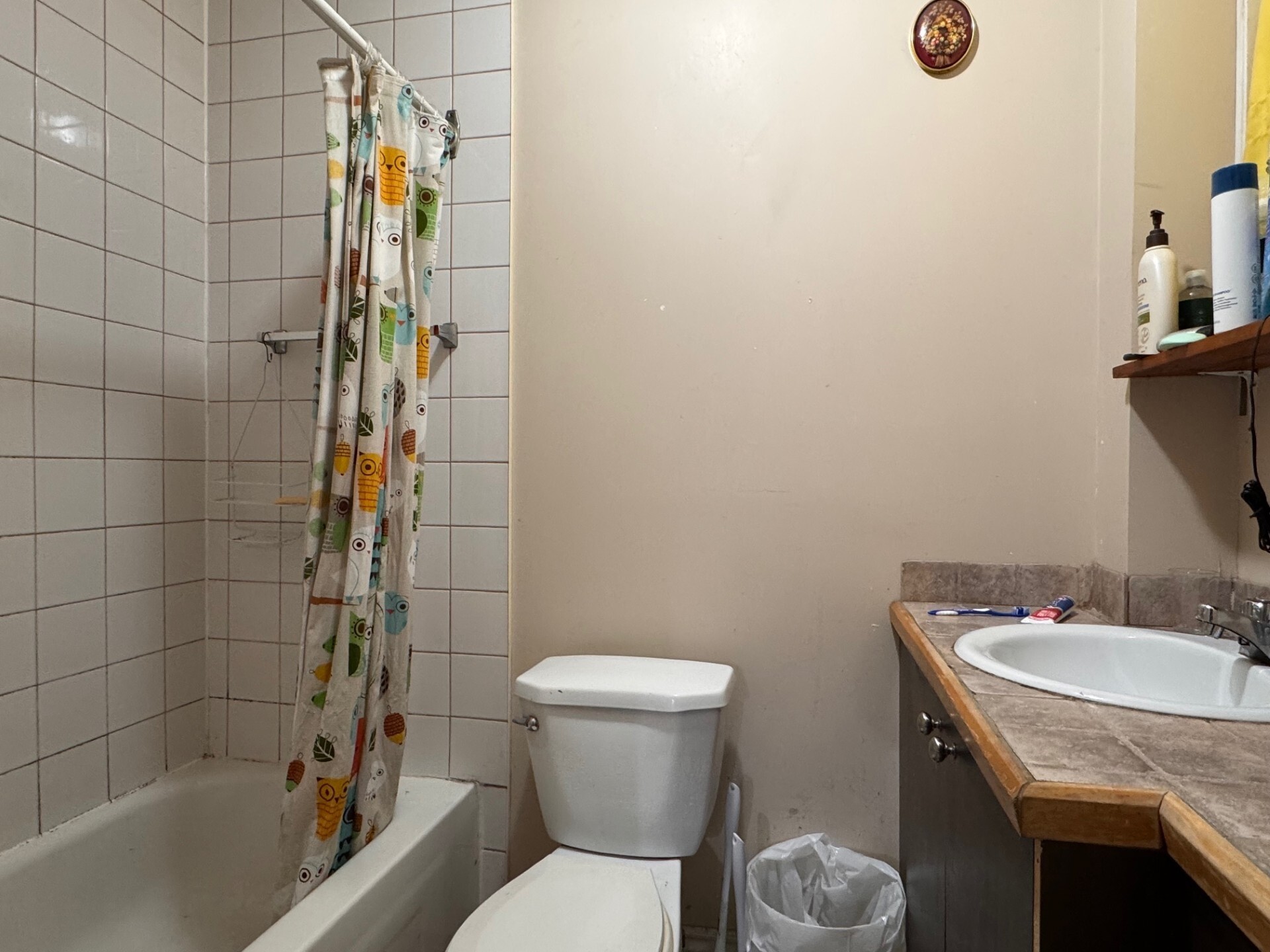 Logis-Experts - Appartements - 150 Boulevard Charest Ouest - 429 - 5