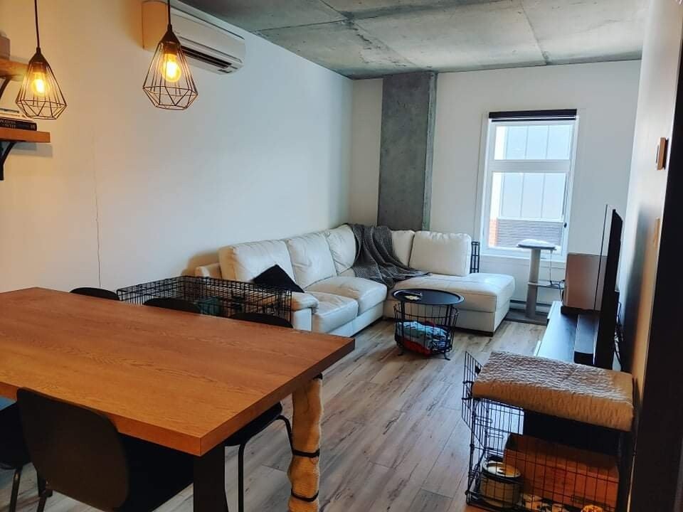 Logis-Experts - Appartements - 508 Rue Saint-Vallier Ouest - Le Saint-Sô - 117 - 2