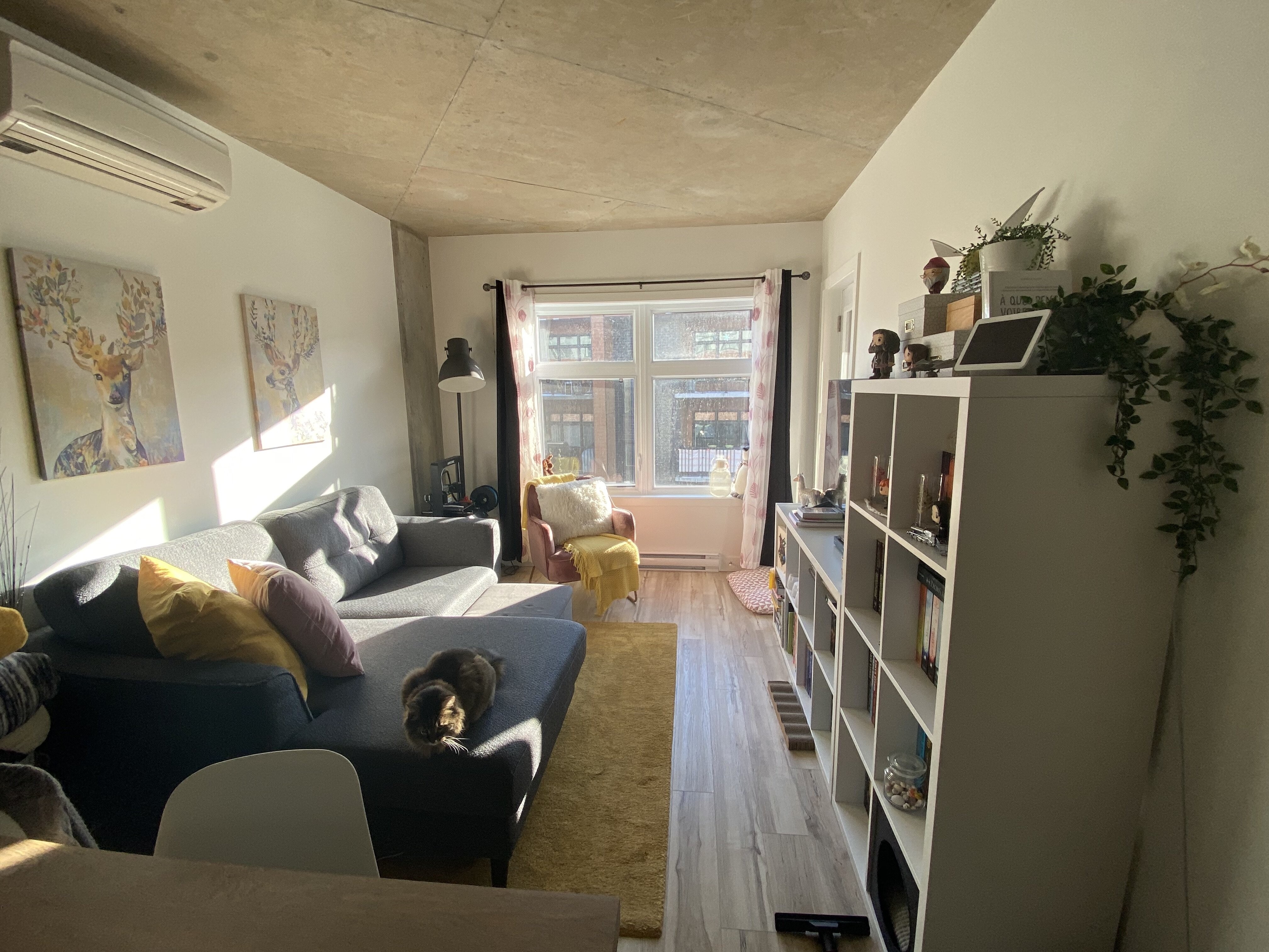 Logis-Experts - Appartements - 508 Rue Saint-Vallier Ouest - Le Saint-Sô - 206 - 8