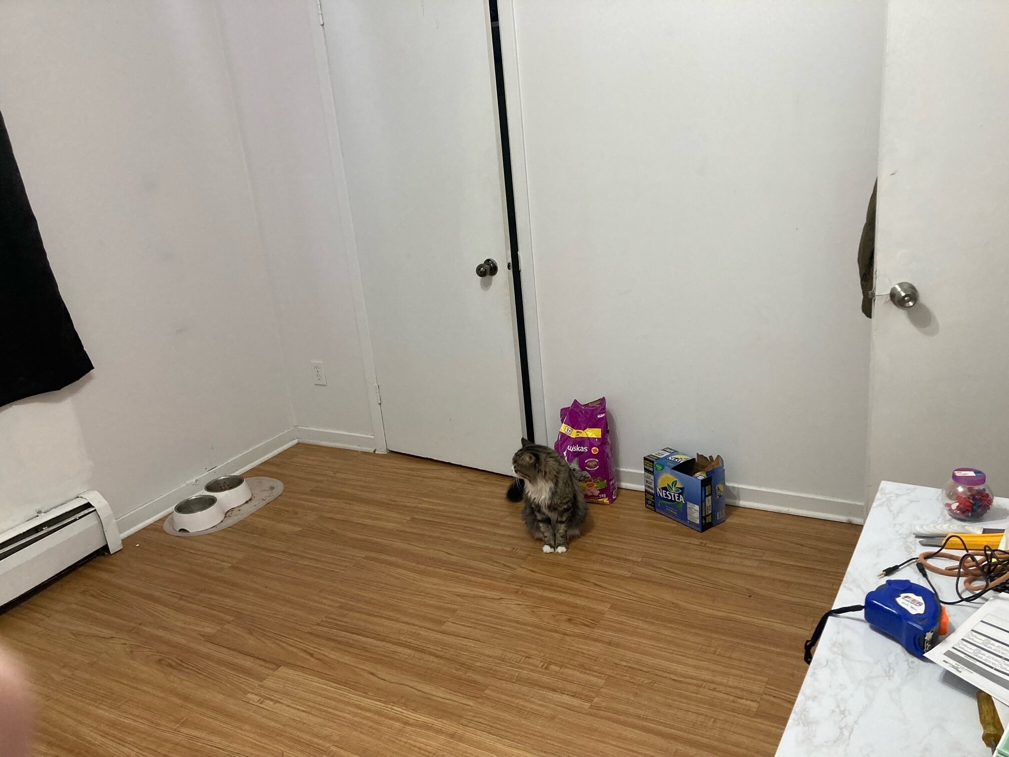 Logis-Experts - Appartements - 5350 À 5358 Rue Bossuet - Place Du Chateau - 5354-7 - 5