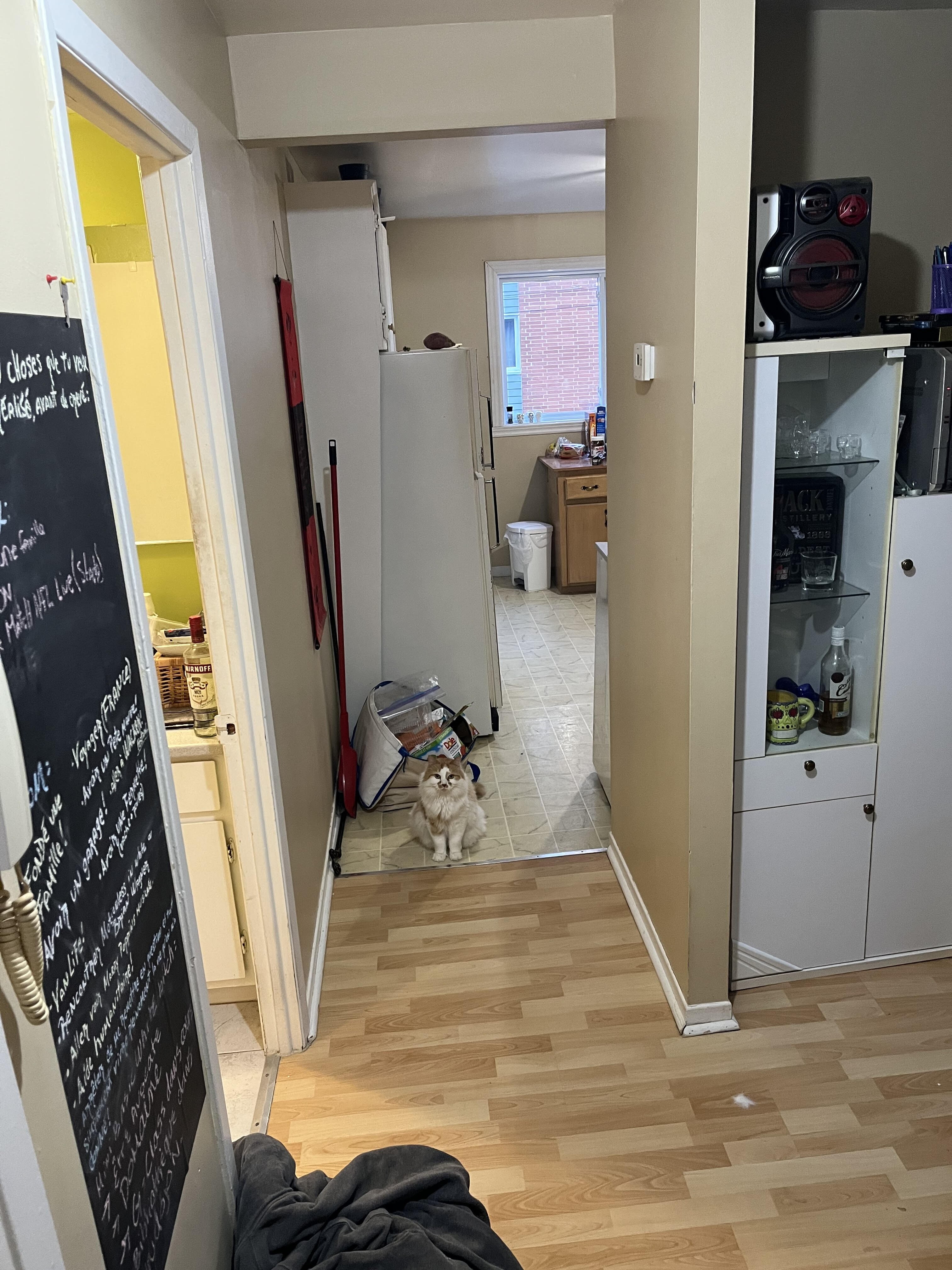 Logis-Experts - Appartements - 5362 Rue Bossuet - Place Du Chateau - 6 - 3