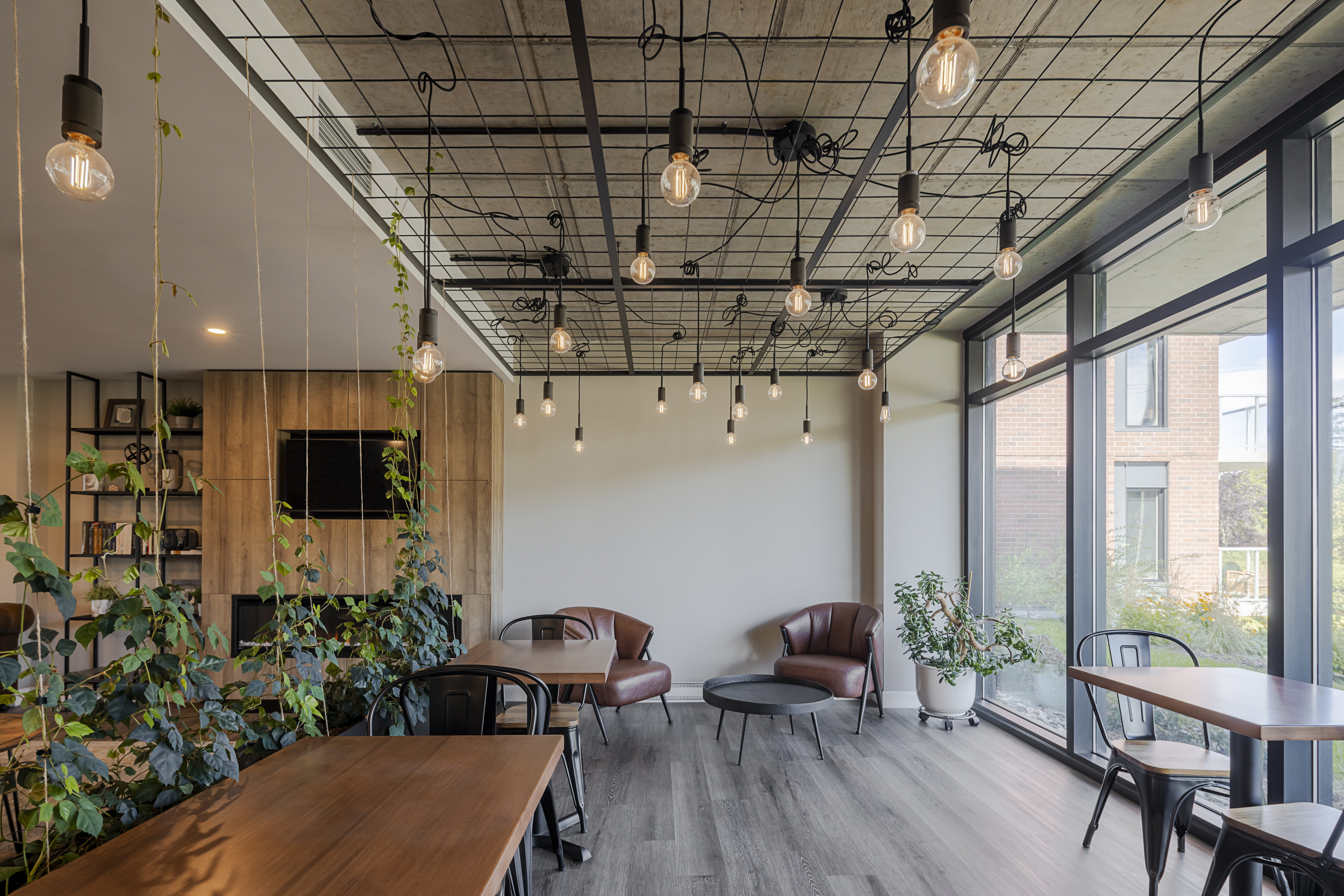 Logis-Experts - Immeubles - 5825 Rue Saint-Georges - Chez Alphi - 6