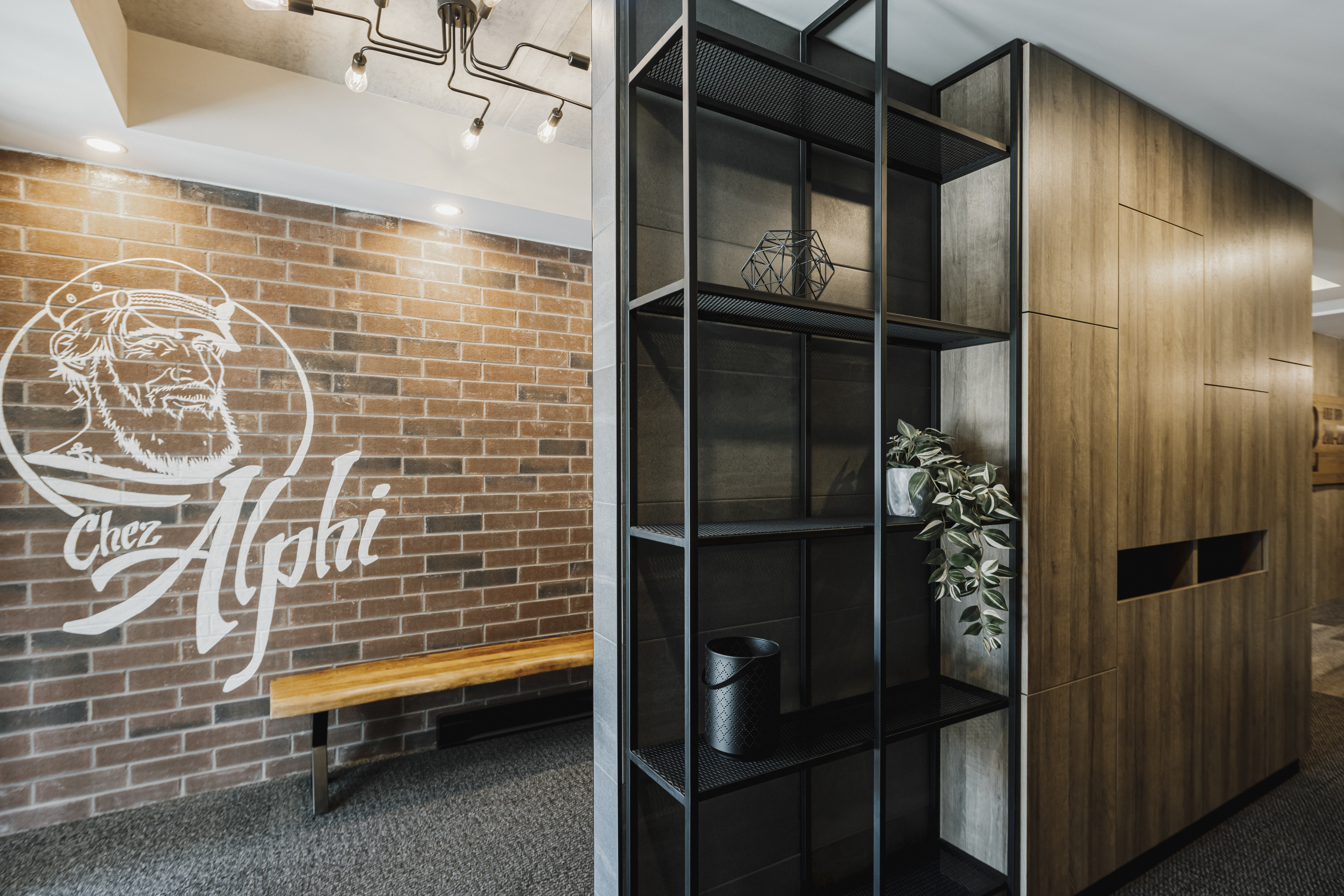 Logis-Experts - Immeubles - 5825 Rue Saint-Georges - Chez Alphi - 10