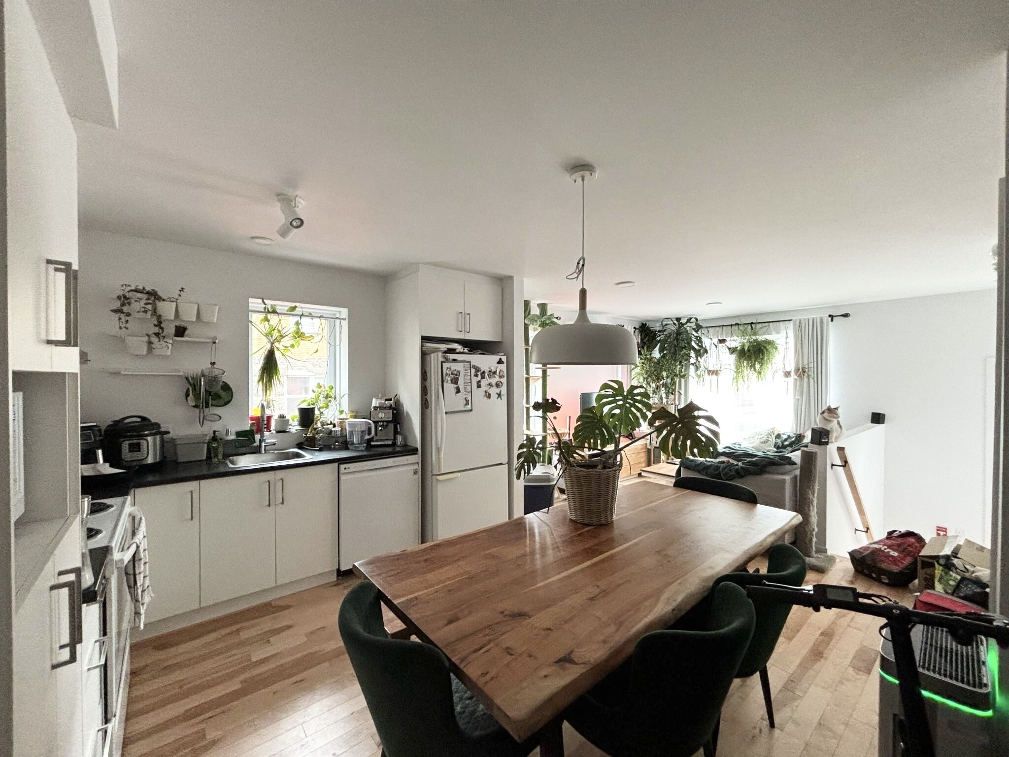 Logis-Experts - Appartements - 447-455 Boulevard Charest Ouest - 455-120 - 2