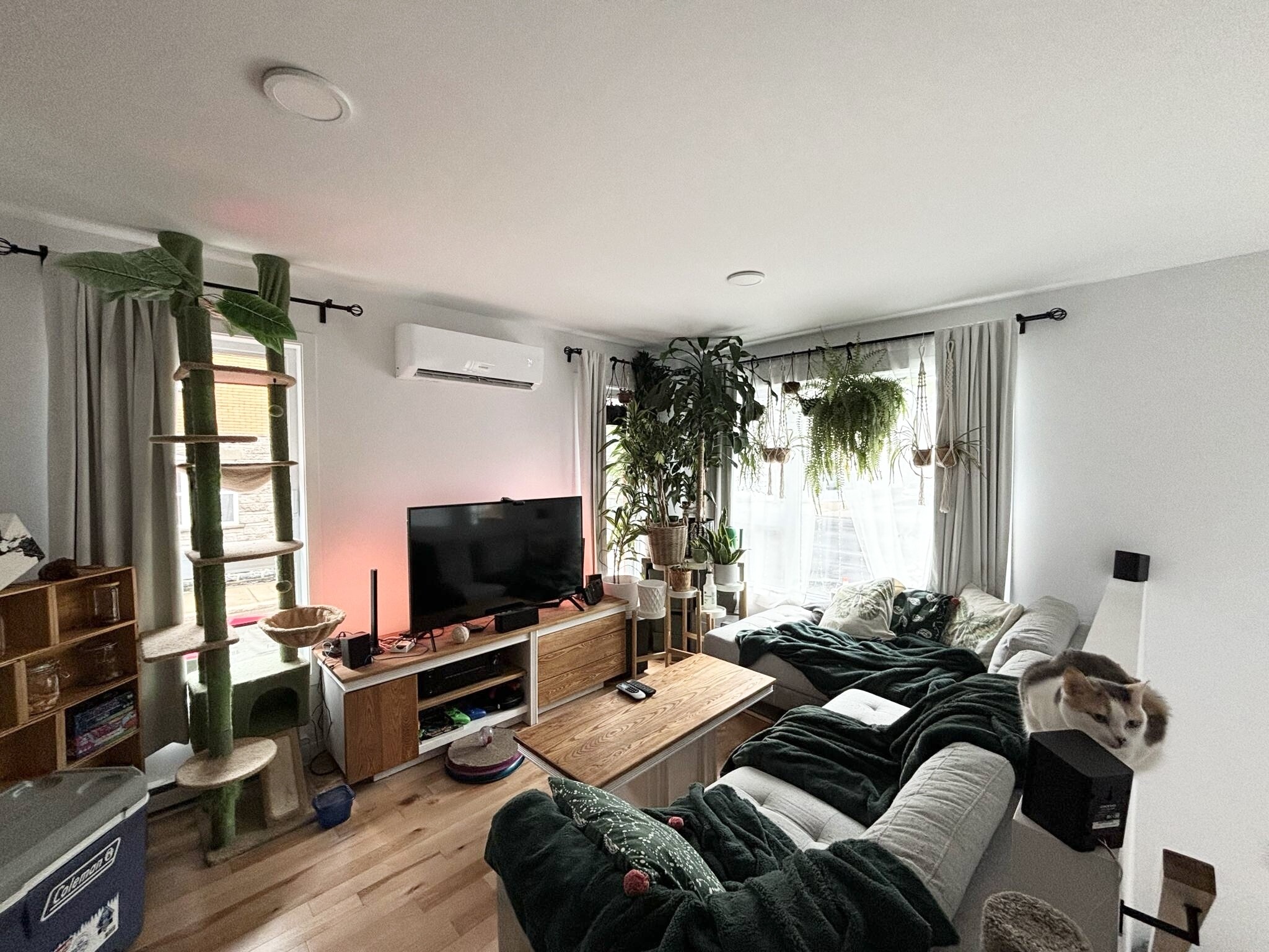 Logis-Experts - Appartements - 447-455 Boulevard Charest Ouest - 455-120 - 5