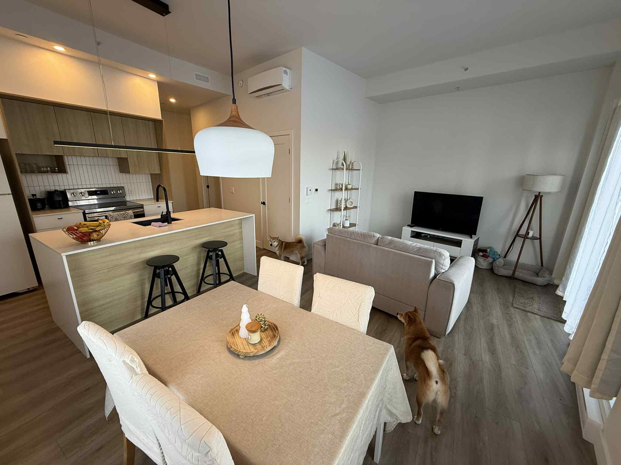 Logis-Experts - Appartements - 1460 Rue Esther-Blondin - Le Galiléo - 110 - 4