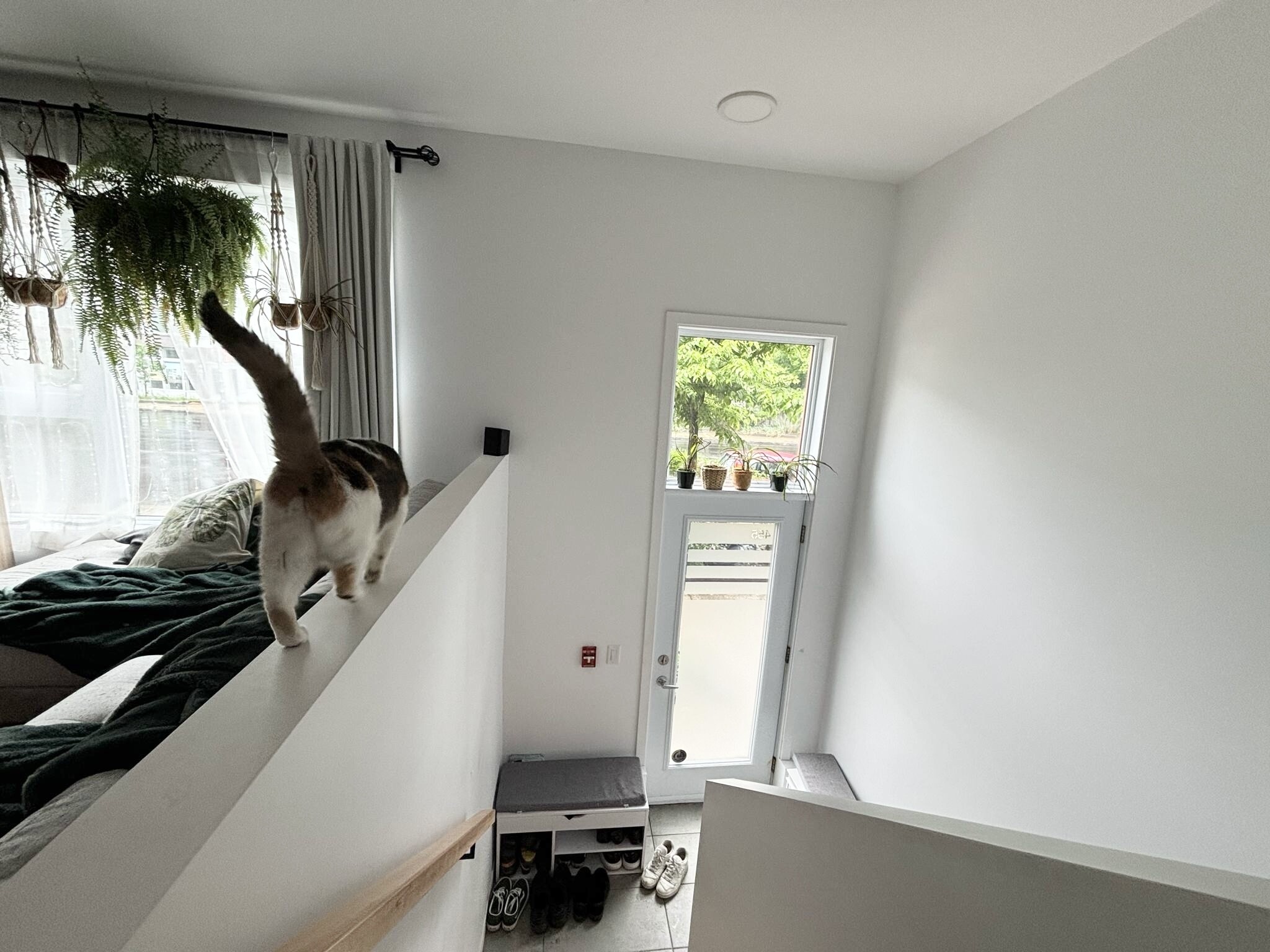 Logis-Experts - Appartements - 447-455 Boulevard Charest Ouest - 455-120 - 8