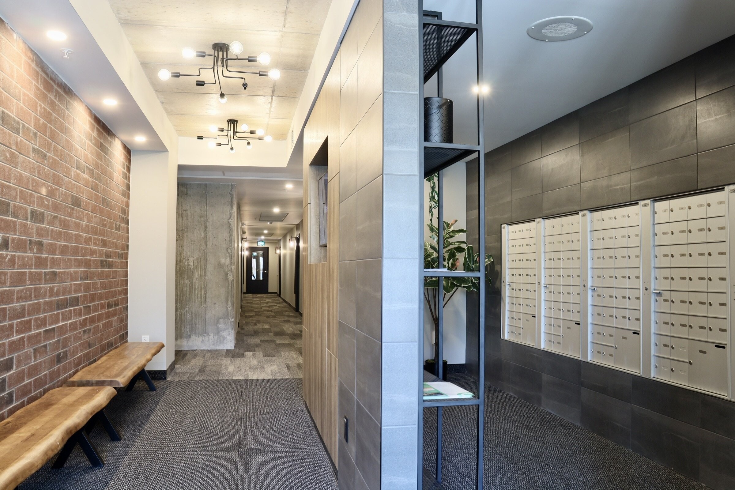 Logis-Experts - Immeubles - 5825 Rue Saint-Georges - Chez Alphi - 17