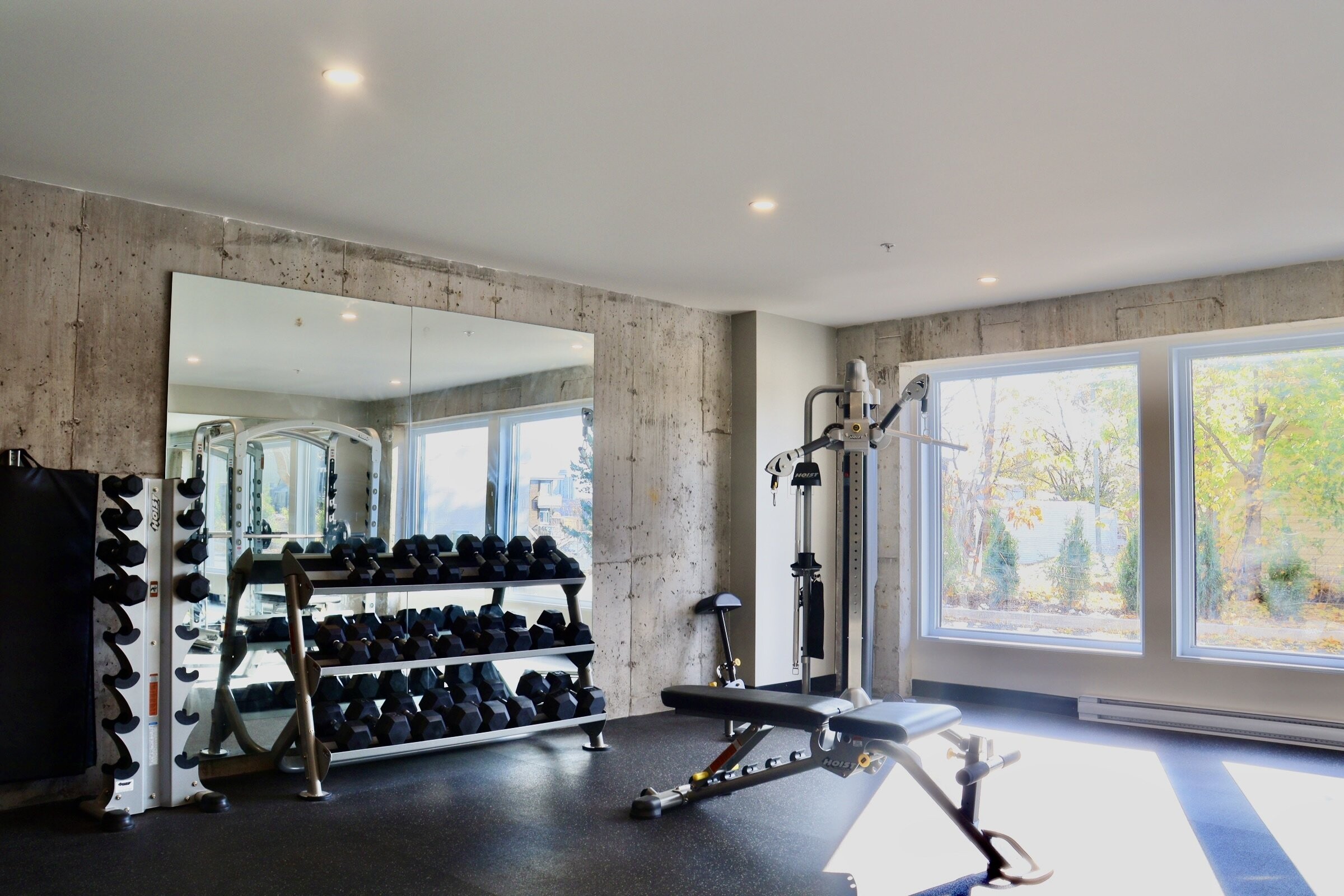 Logis-Experts - Immeubles - 5825 Rue Saint-Georges - Chez Alphi - 27