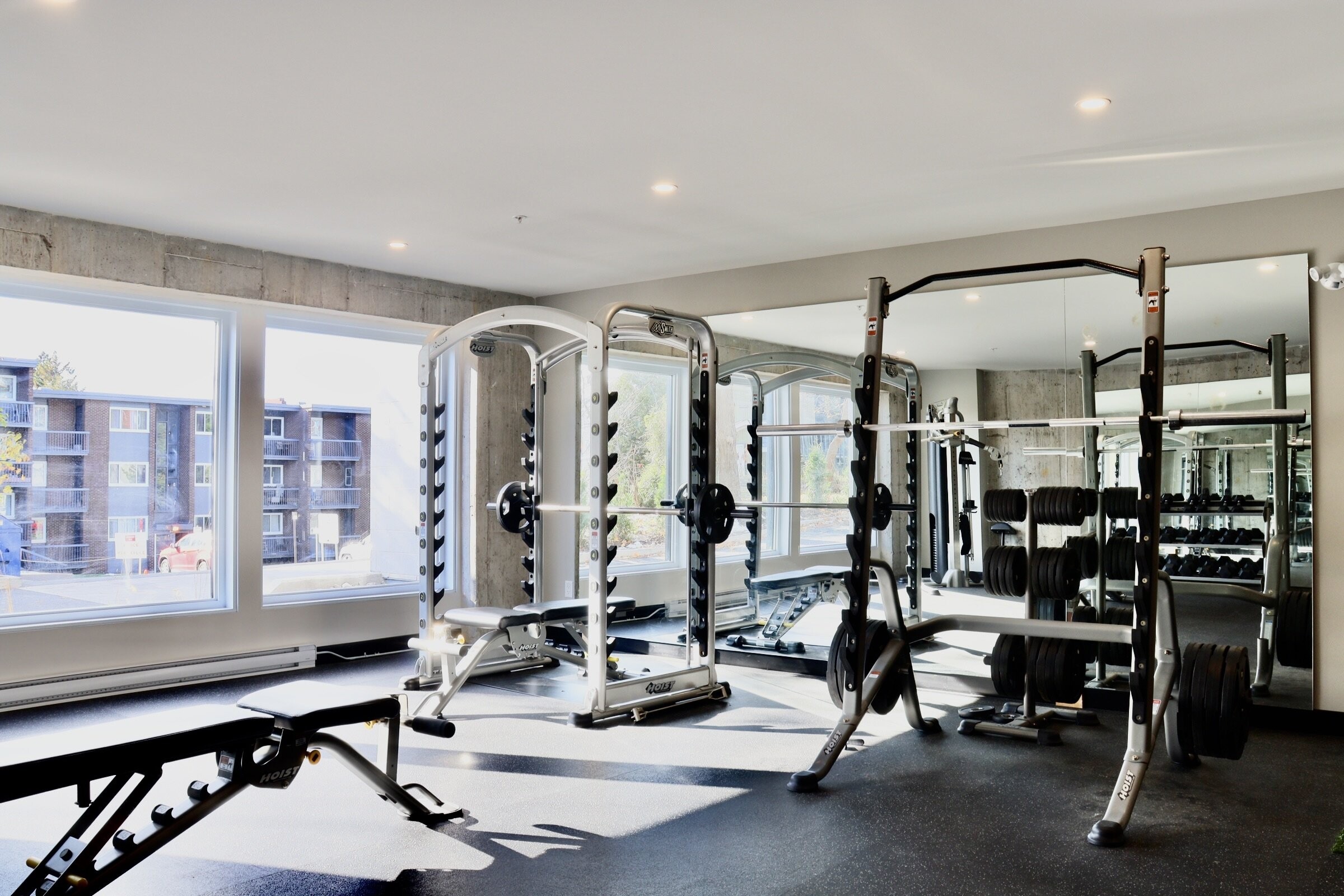 Logis-Experts - Immeubles - 5825 Rue Saint-Georges - Chez Alphi - 28