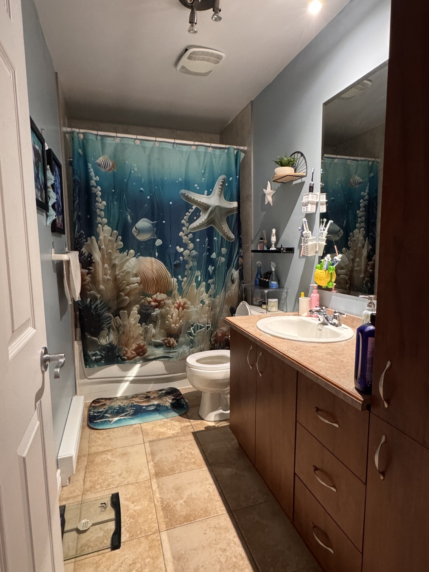 Logis-Experts - Appartements - 1151 À 1153 Boulevard Louis-Xiv - Le District - 1153-63 - 2