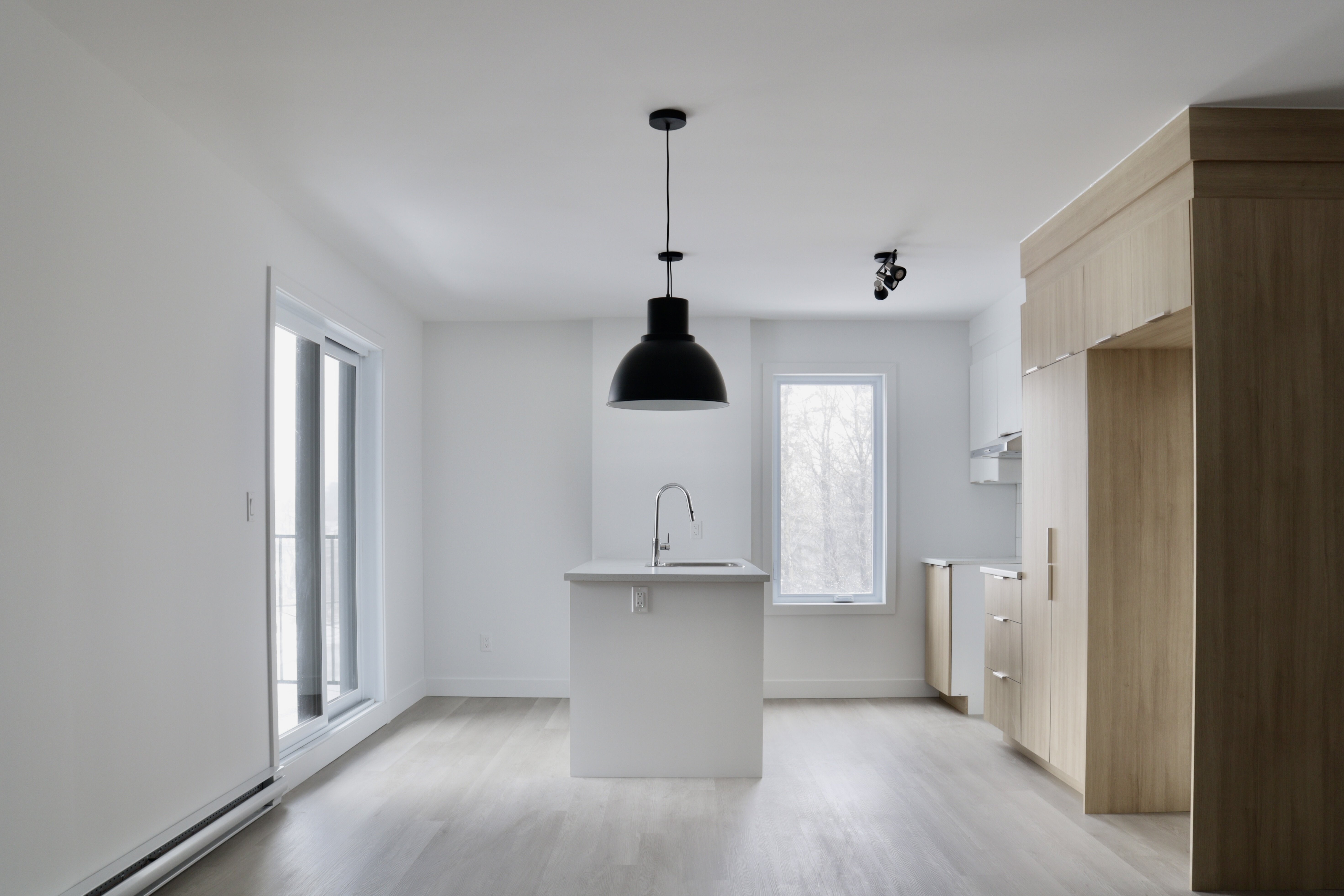 Logis-Experts - Appartements - 1482 Boulevard Pie-Xi Nord - 102 - 7