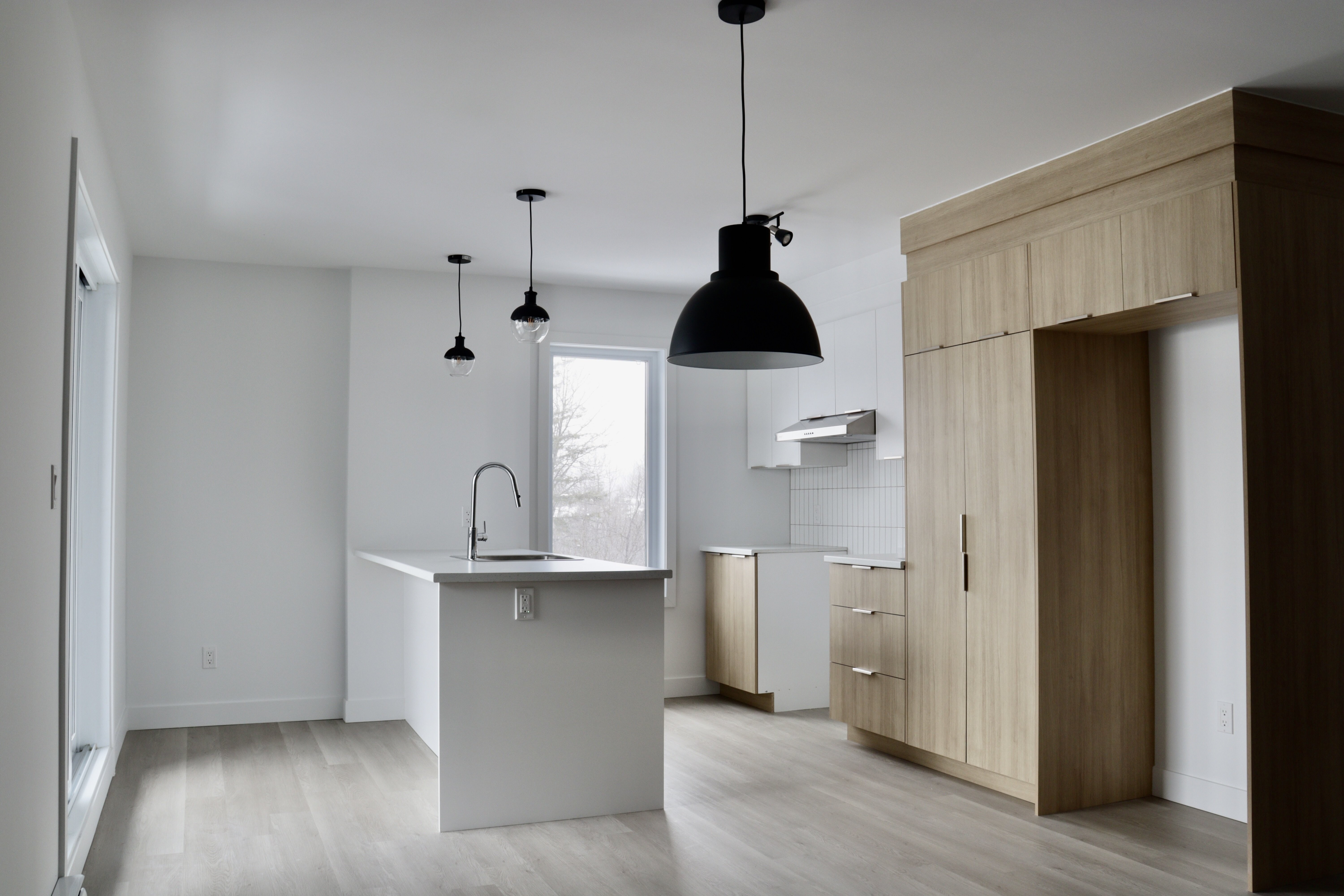 Logis-Experts - Appartements - 1482 Boulevard Pie-Xi Nord - 102 - 8