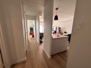 Logis-Experts - Appartements - 2475 Rue Évangéline - Espaces Lavida - 308 - 1