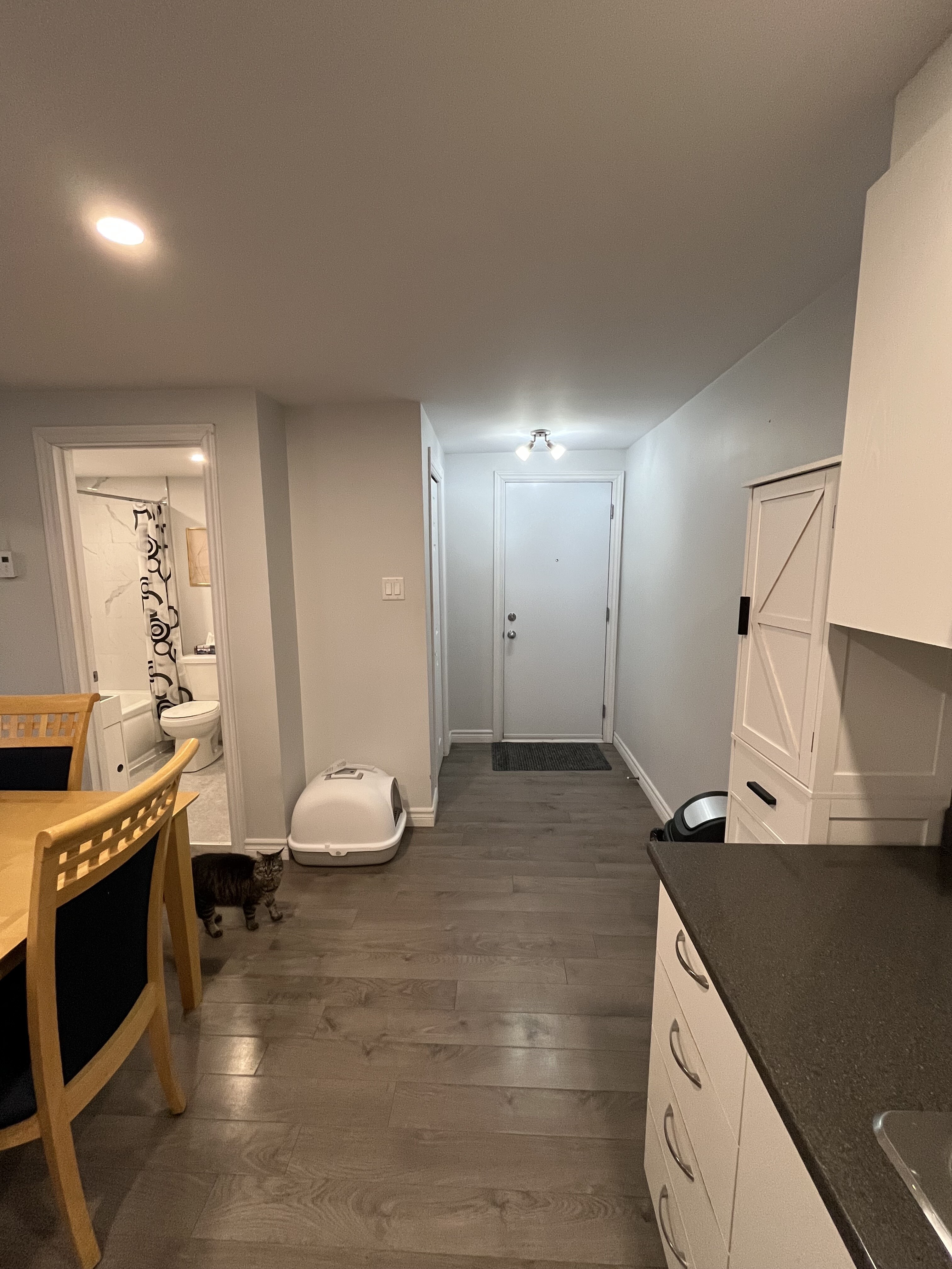 Logis-Experts - Appartements - 1976 Avenue De La Famille - 8 - 2