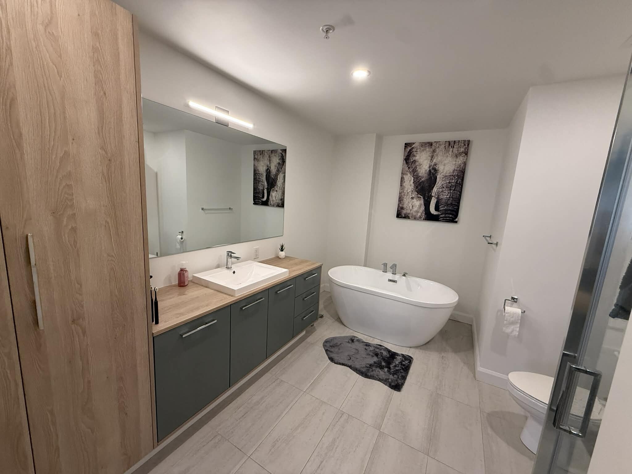 Logis-Experts - Appartements - 8501 Rue De La Comtoise - L'odyssée - 201 - 5