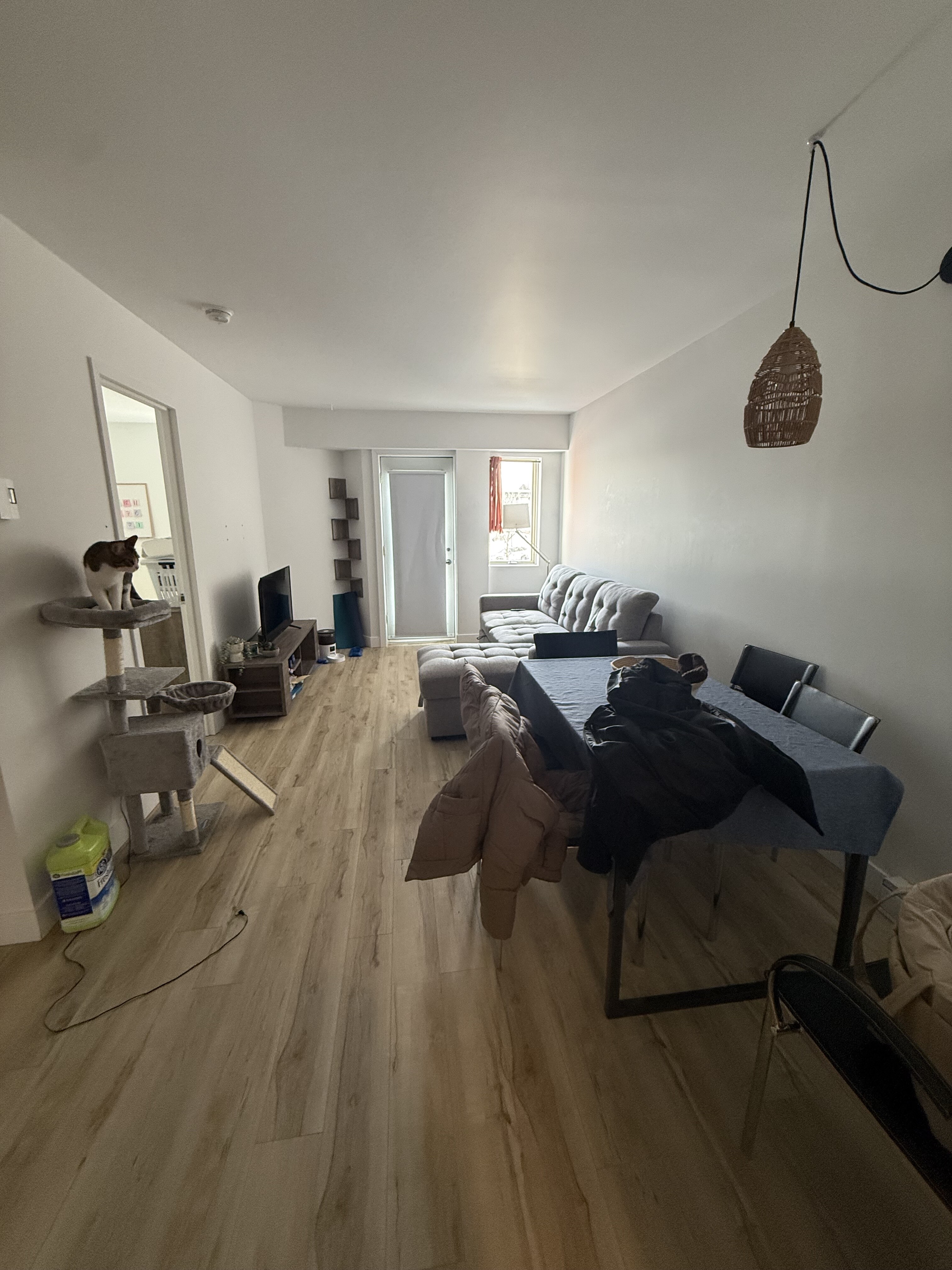 Logis-Experts - Appartements - 790 Boulevard Alphonse-Desjardins - Le Moderniste - 218 - 2