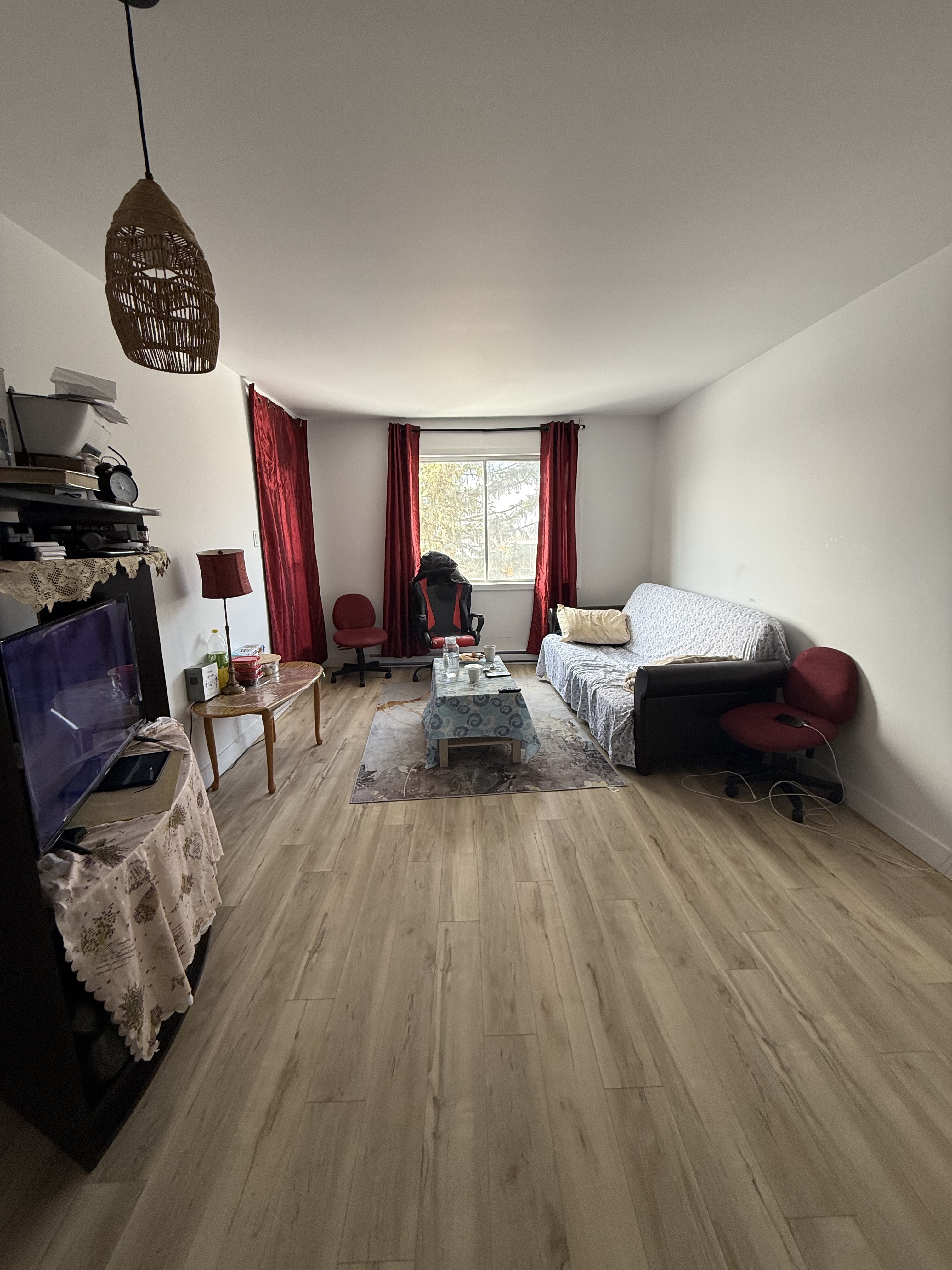 Logis-Experts - Appartements - 790 Boulevard Alphonse-Desjardins - Le Moderniste - 341 - 2