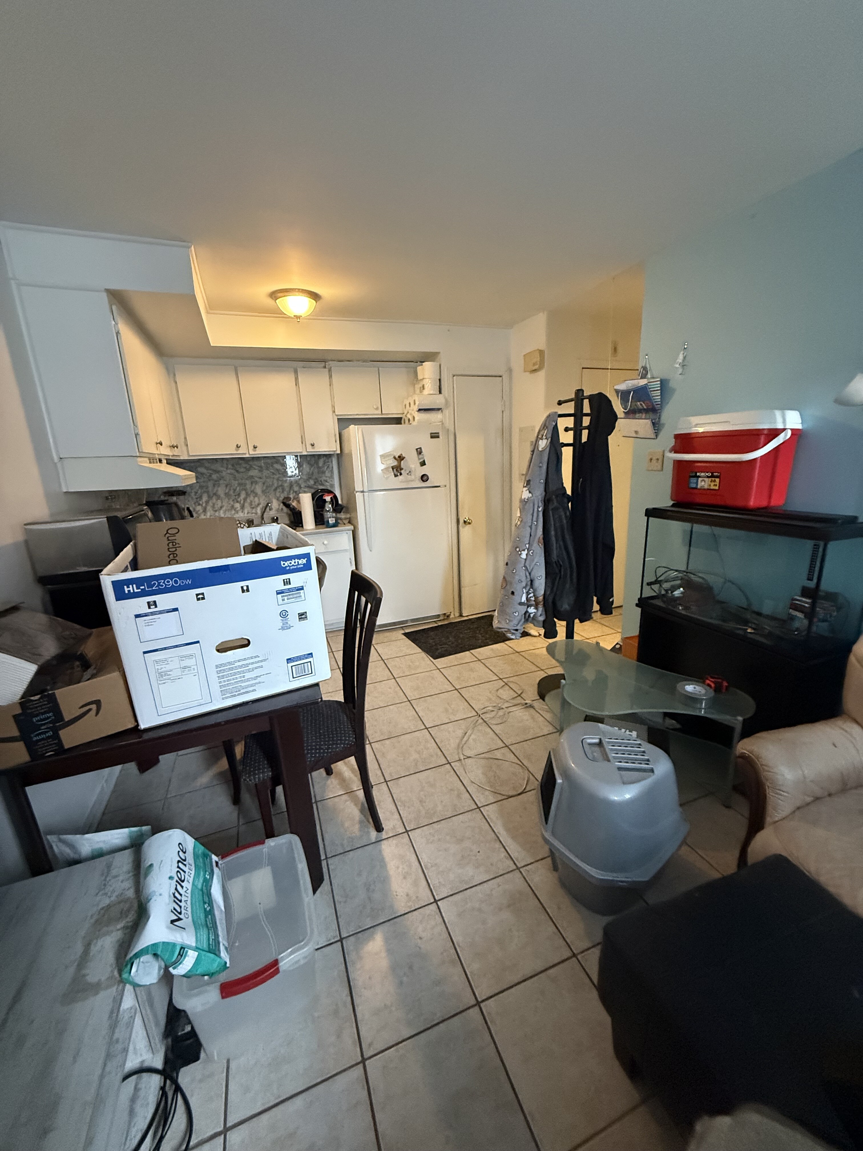 Logis-Experts - Appartements - 5392 À 5400 Rue Bossuet - Place Du Chateau - 5400-1 - 5