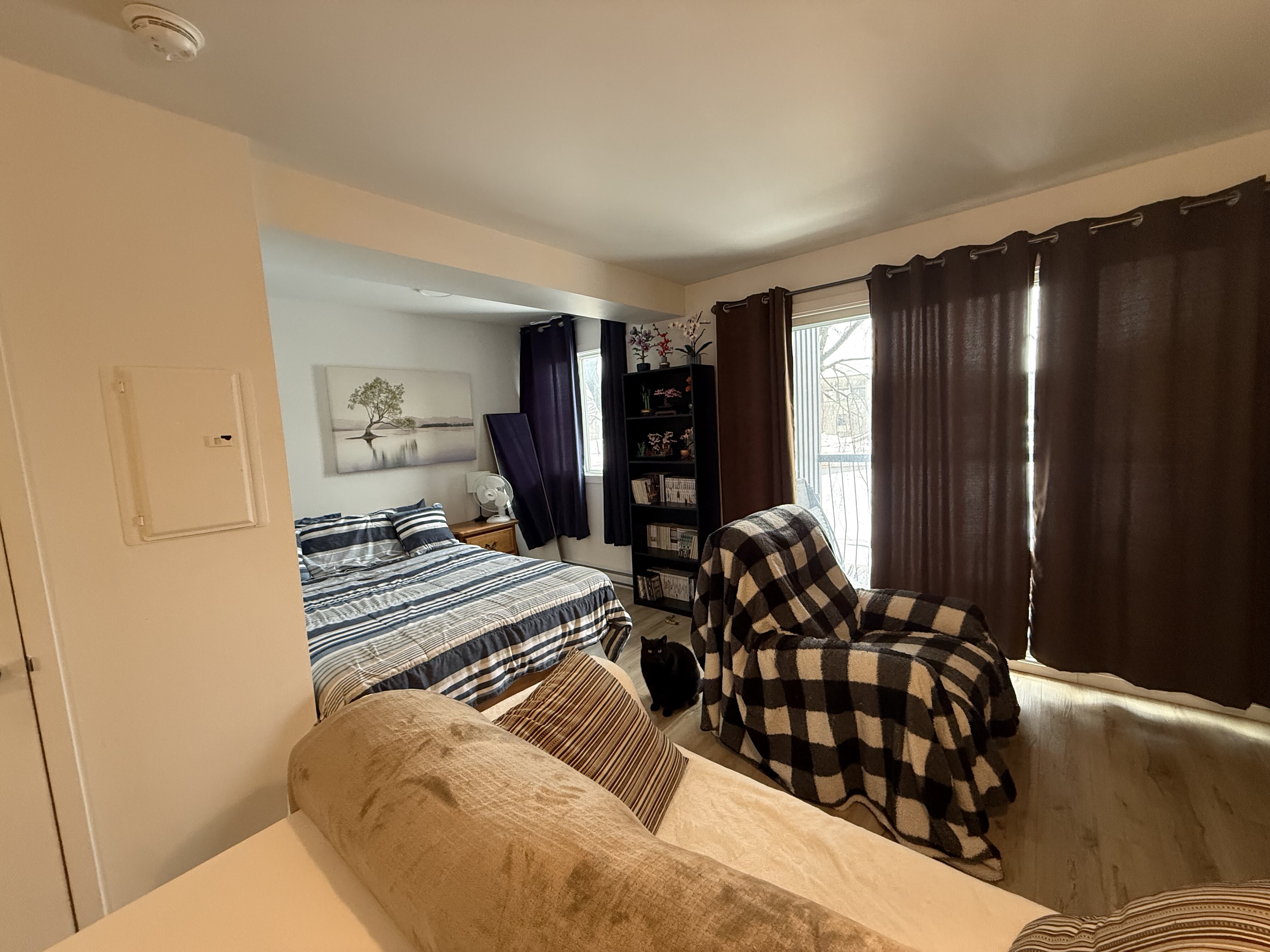 Logis-Experts - Appartements - 790 Boulevard Alphonse-Desjardins - Le Moderniste - 213 - 5