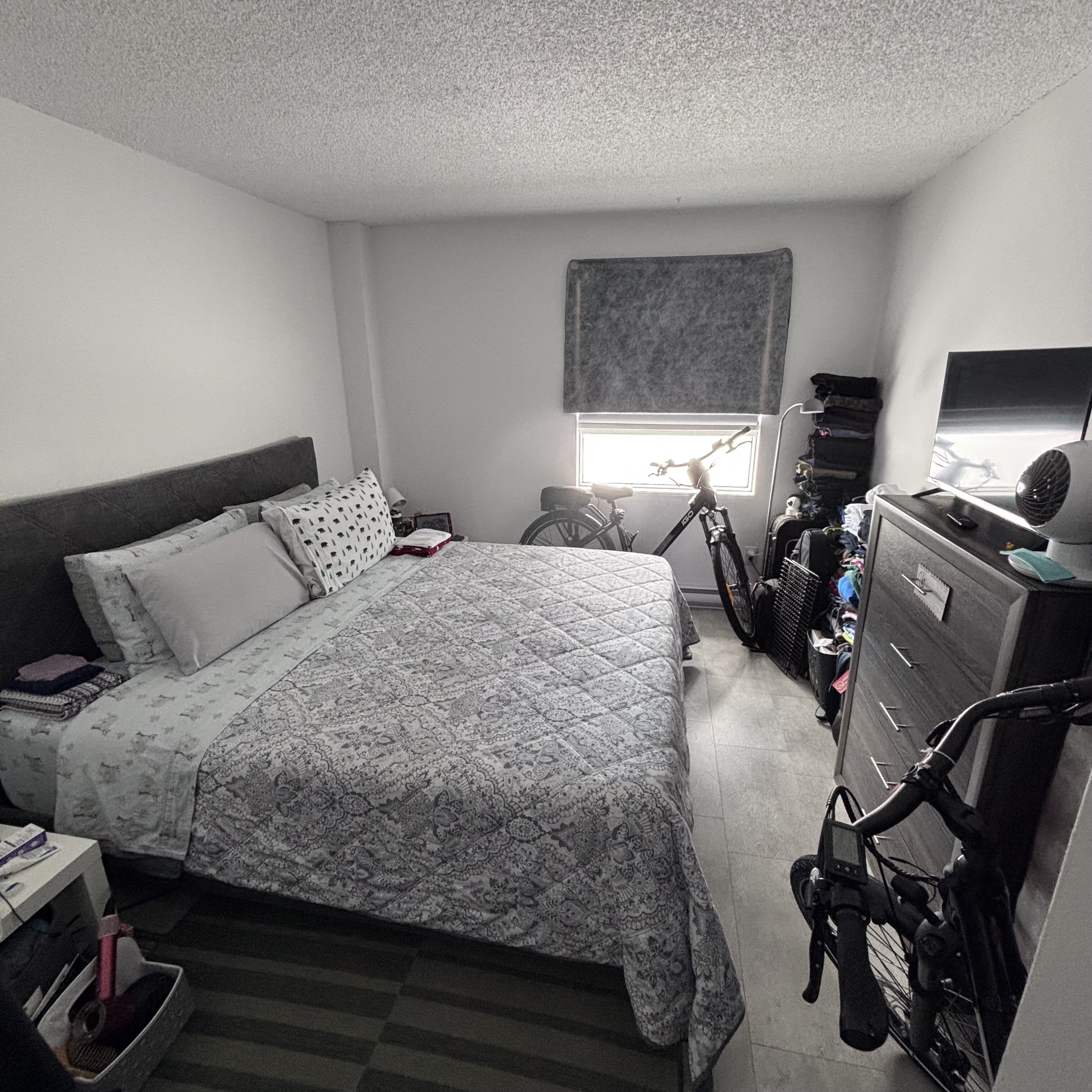 Logis-Experts - Appartements - 361 Rue Gingras - Le Mojo - 231 - 5