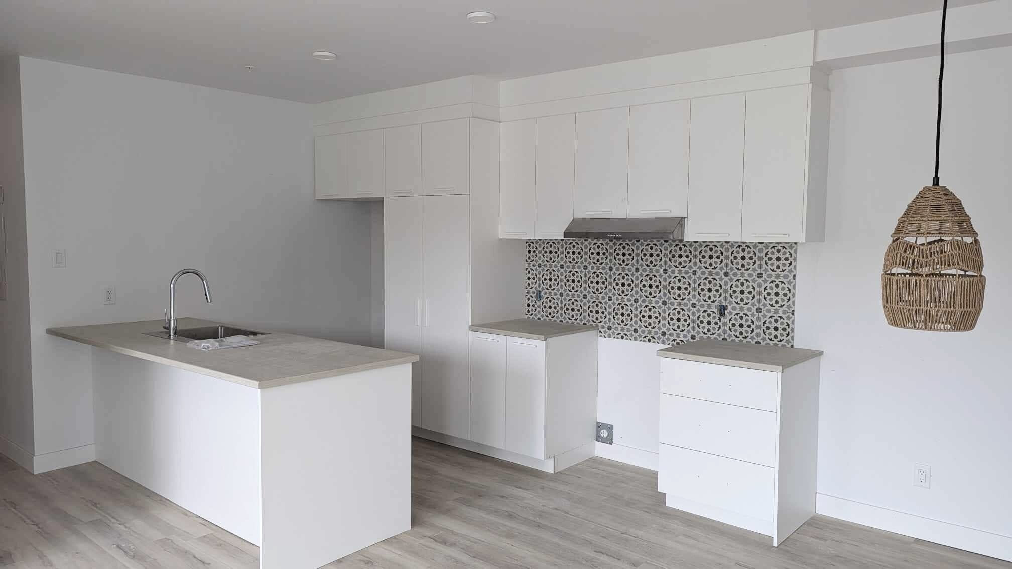 Logis-Experts - Appartements - 790 Boulevard Alphonse-Desjardins - Le Moderniste - 100a - 1