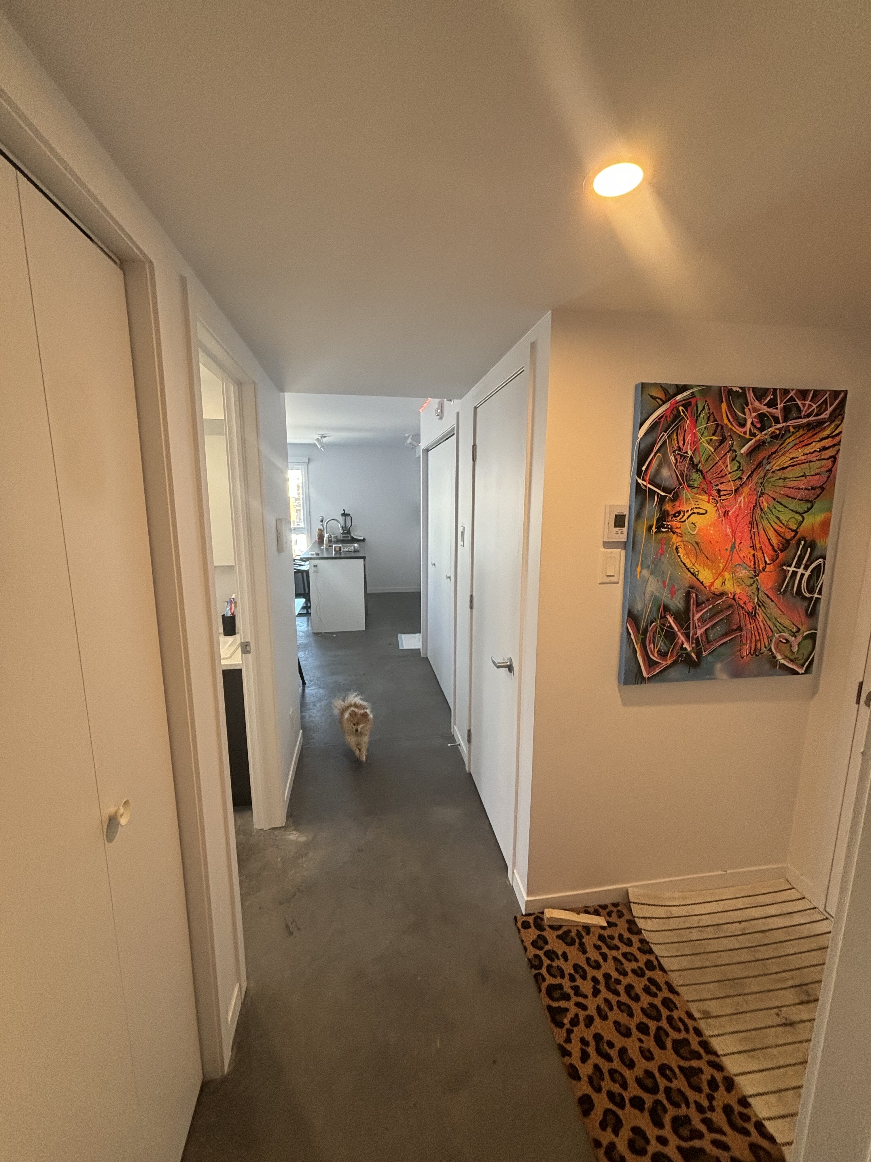 Logis-Experts - Appartements - 447-455 Boulevard Charest Ouest - 451-220 - 3