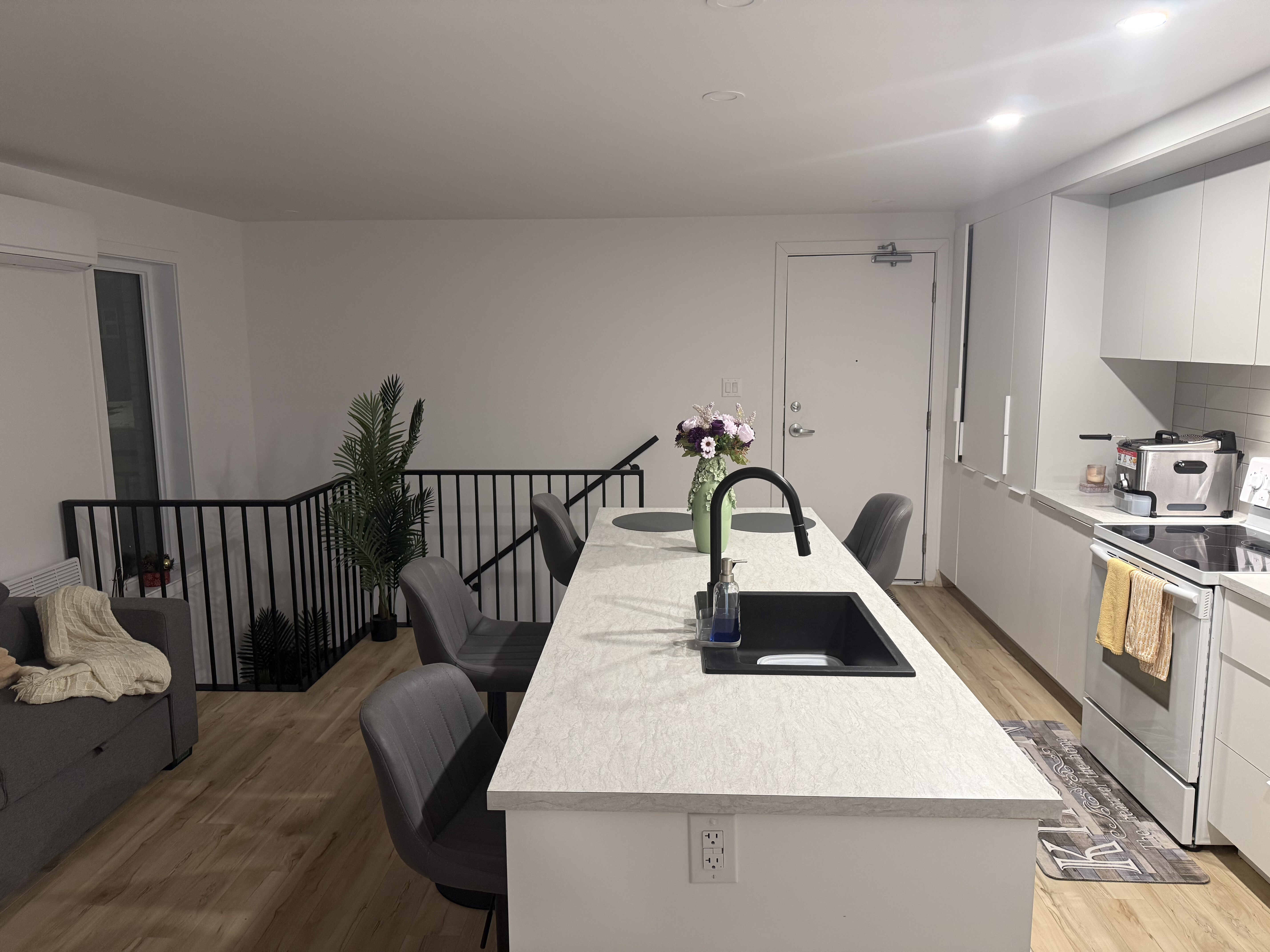 Logis-Experts - Appartements - 484 À 490 Rue Marie-Louise - 484 - 2